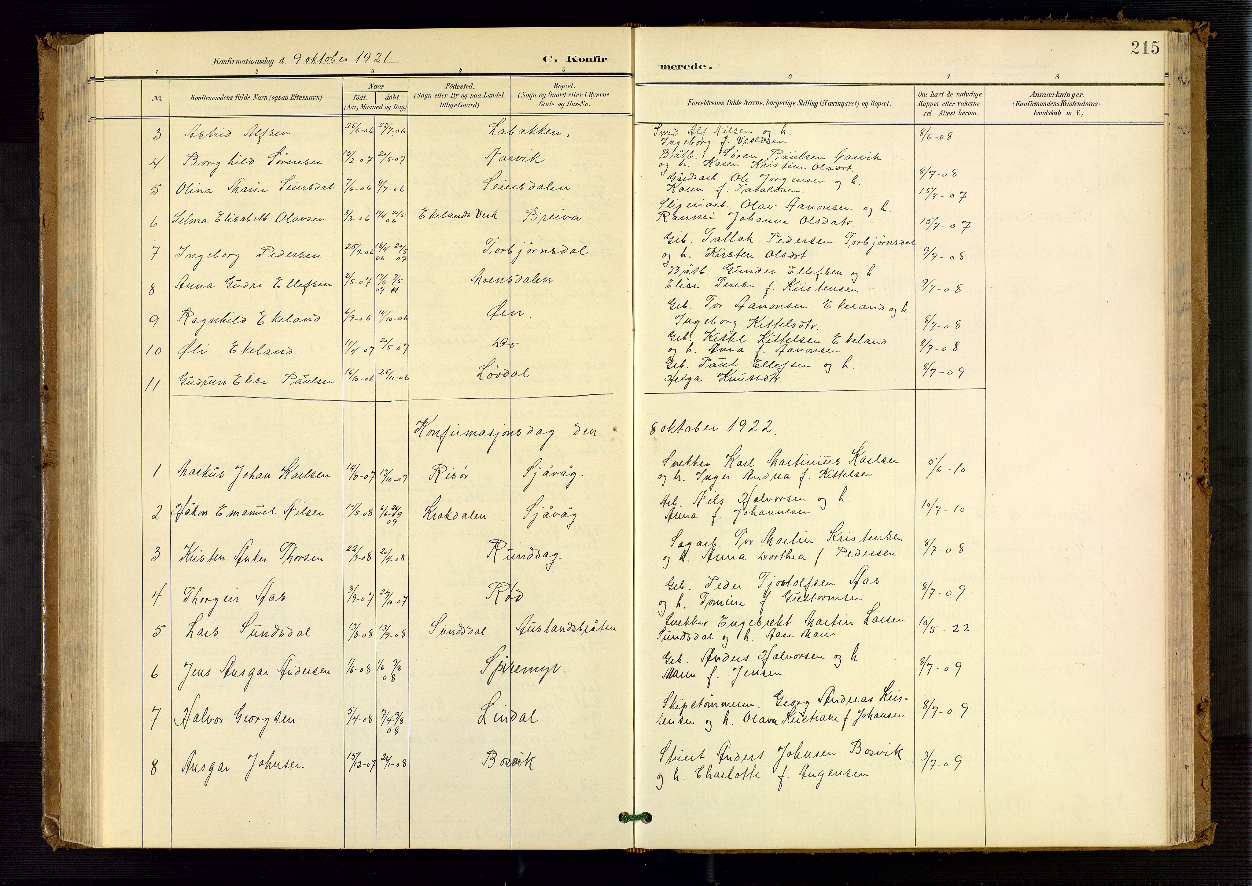 Søndeled sokneprestkontor, AV/SAK-1111-0038/F/Fb/L0005: Parish register (copy) no. B 6, 1900-1962, p. 215