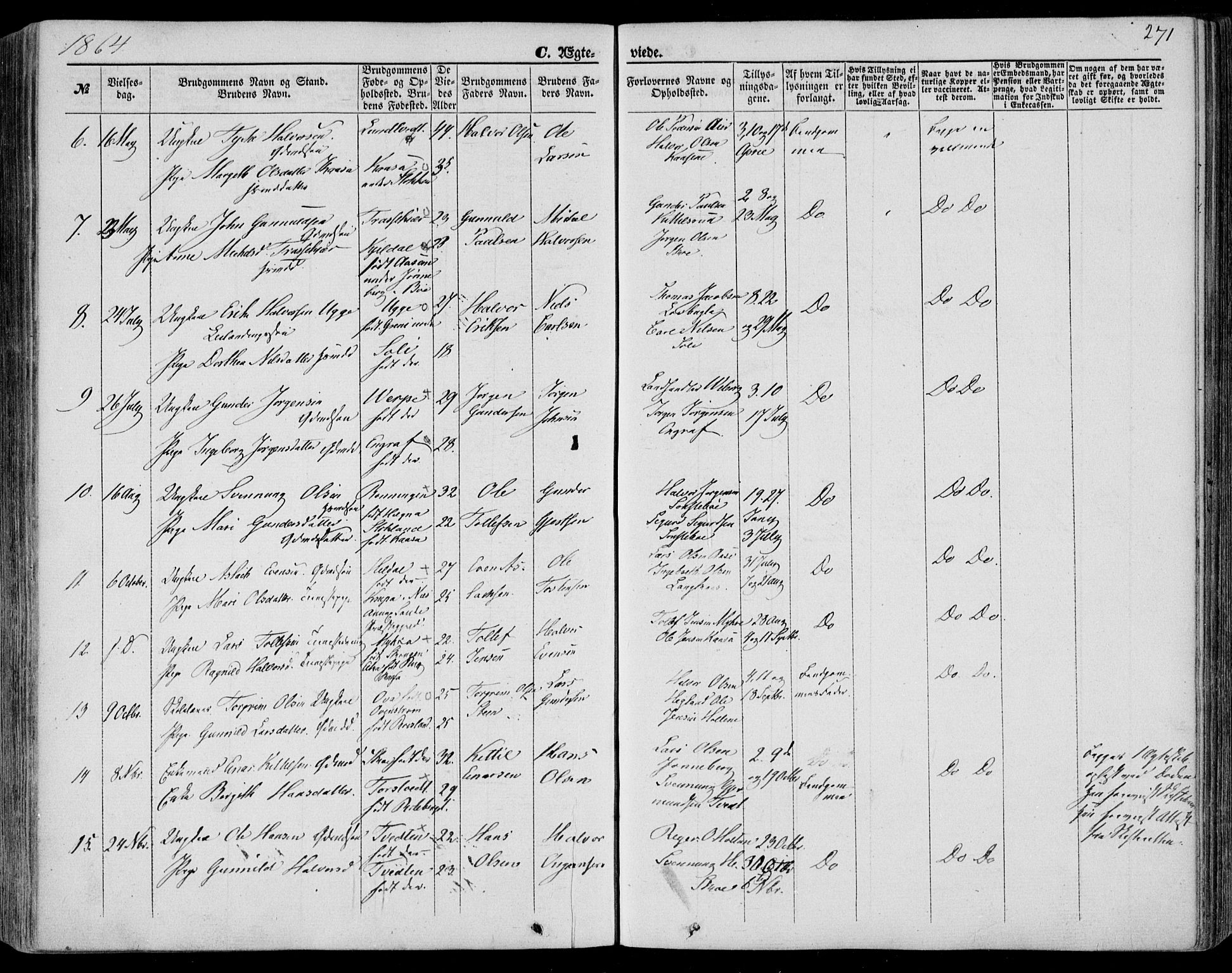 Bø kirkebøker, SAKO/A-257/F/Fa/L0009: Parish register (official) no. 9, 1862-1879, p. 271