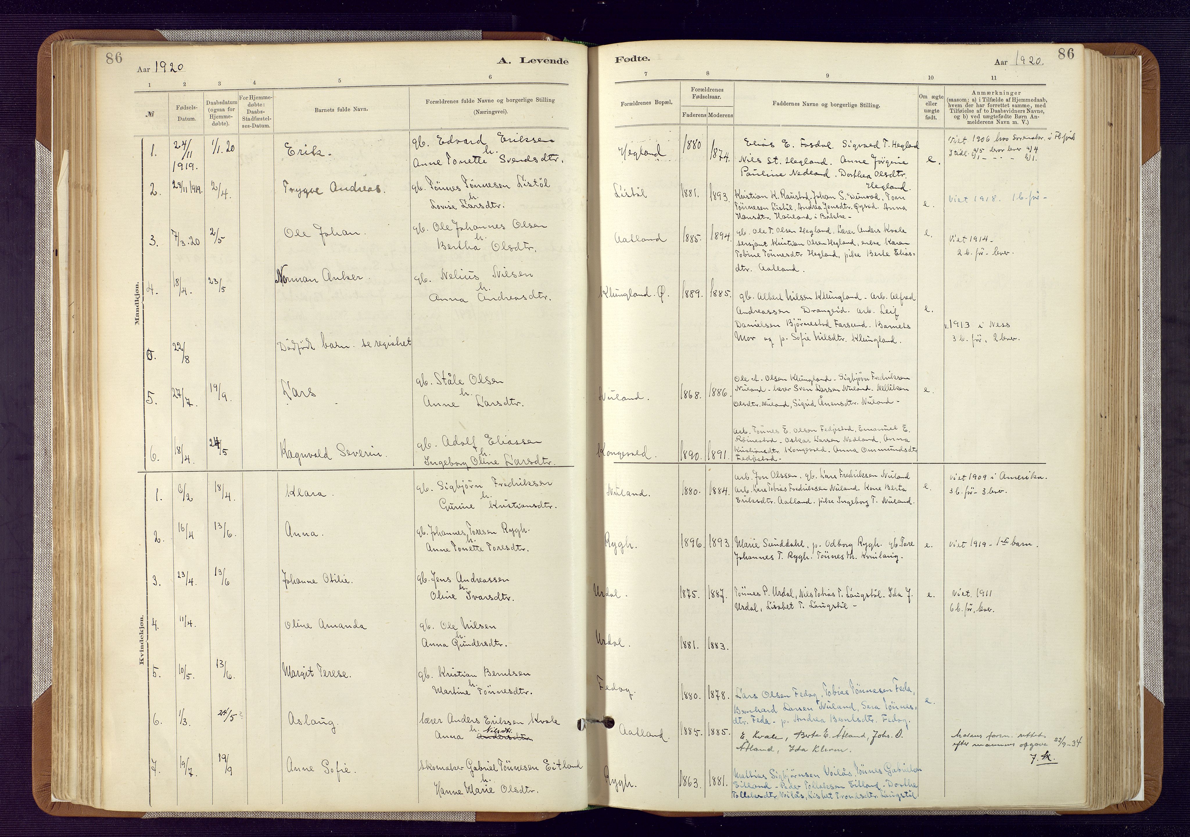 Bakke sokneprestkontor, SAK/1111-0002/F/Fa/Fab/L0003: Parish register (official) no. A 3, 1884-1921, p. 86