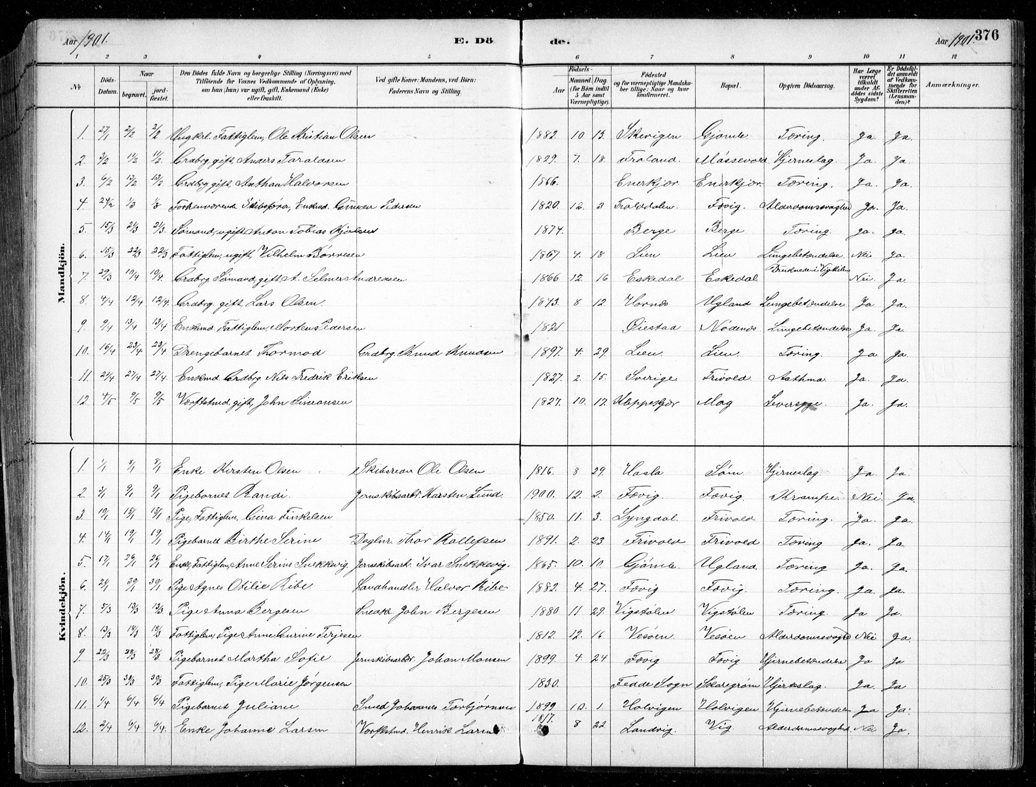 Fjære sokneprestkontor, SAK/1111-0011/F/Fb/L0011: Parish register (copy) no. B 11, 1881-1905, p. 376