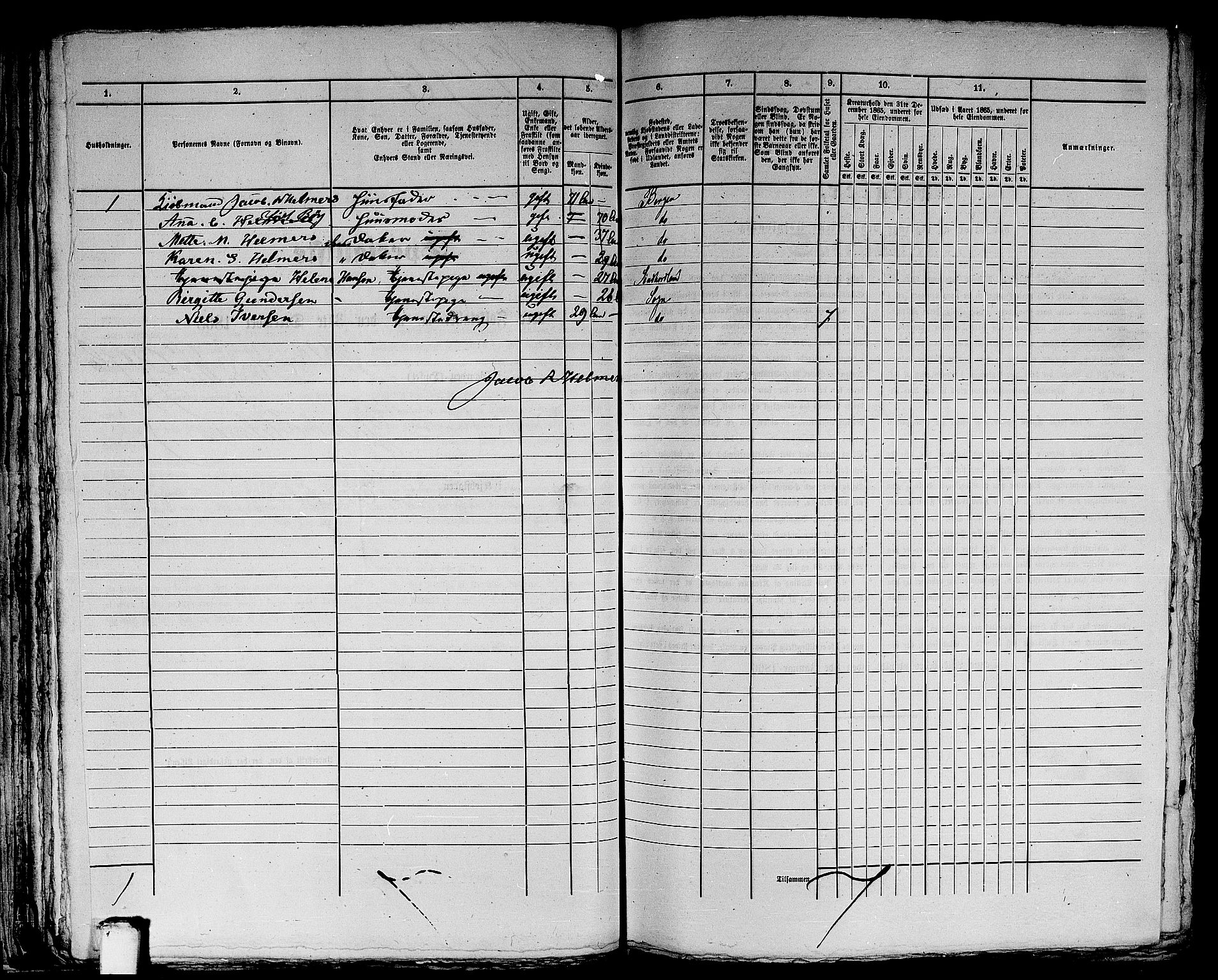 RA, 1865 census for Bergen, 1865, p. 3666