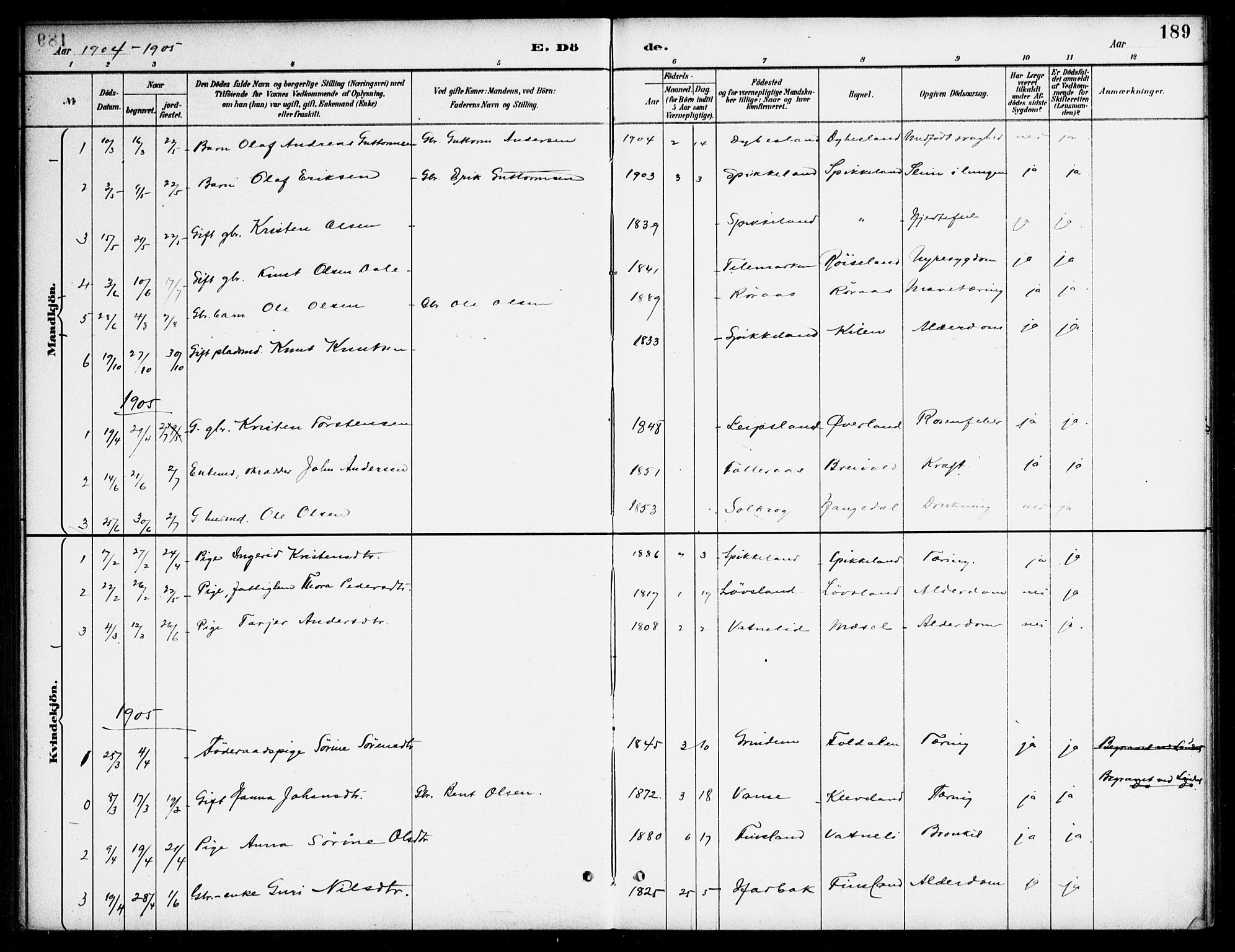 Bjelland sokneprestkontor, AV/SAK-1111-0005/F/Fa/Fab/L0004: Parish register (official) no. A 4, 1887-1920, p. 189