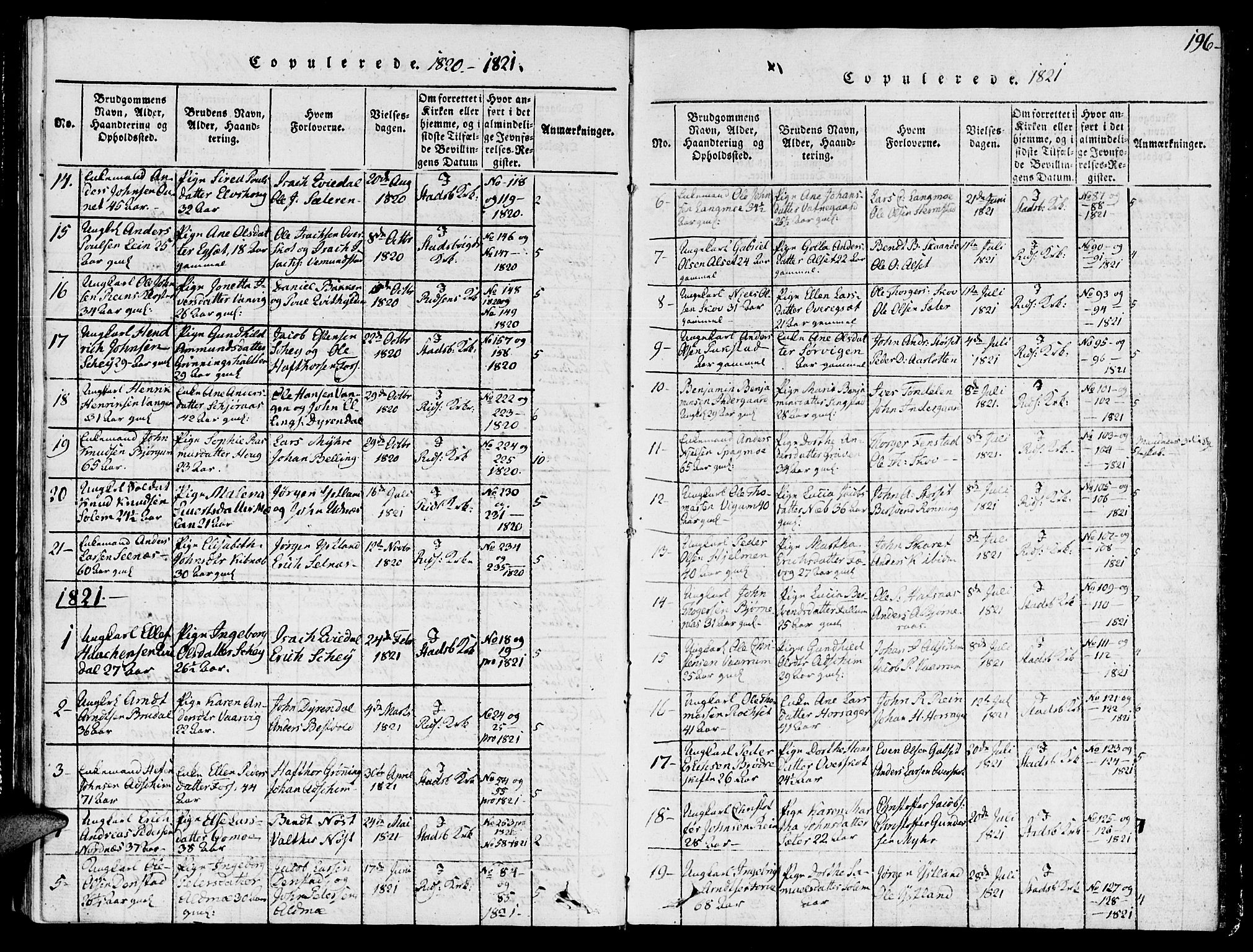 Ministerialprotokoller, klokkerbøker og fødselsregistre - Sør-Trøndelag, SAT/A-1456/646/L0608: Parish register (official) no. 646A06, 1816-1825, p. 196
