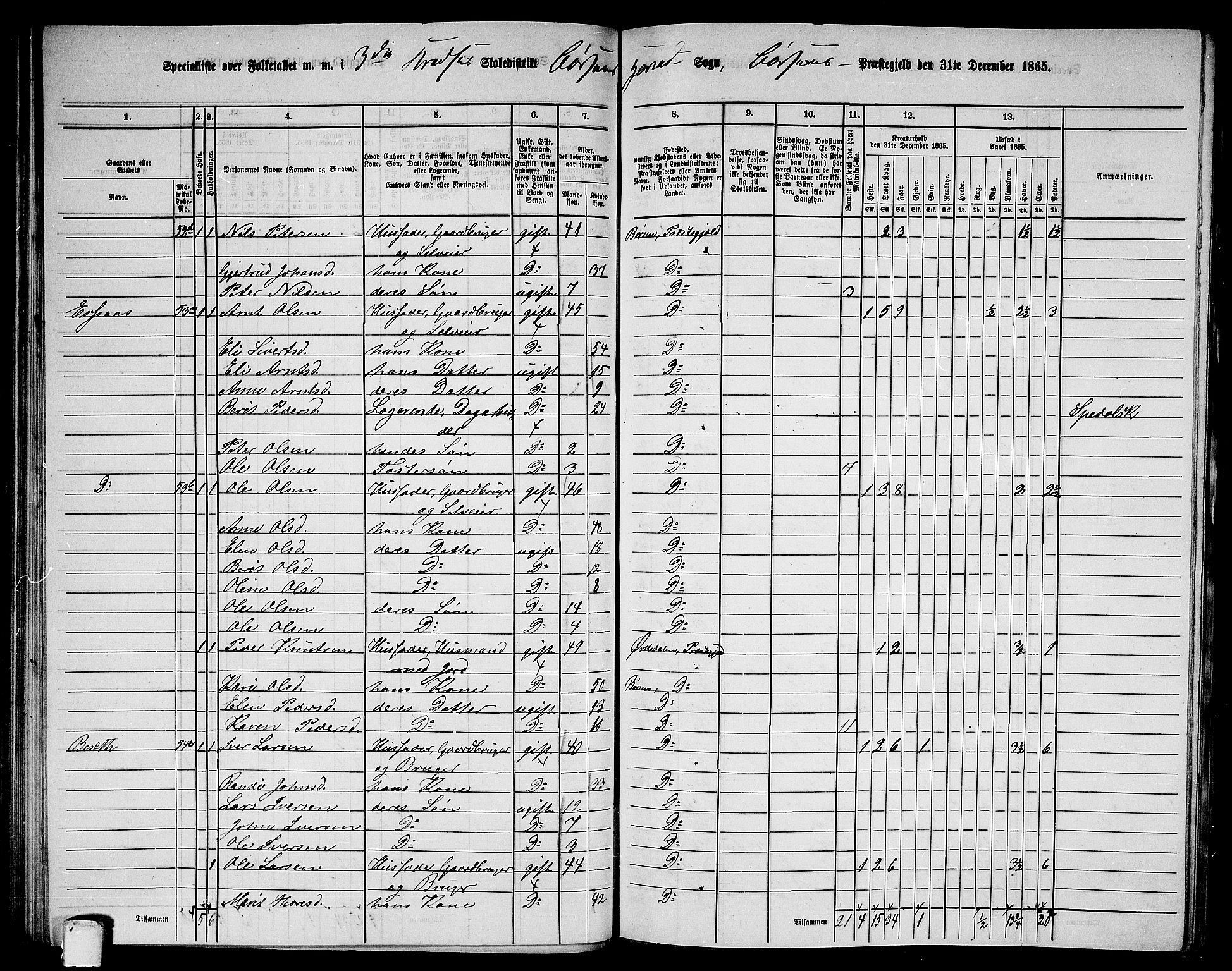 RA, 1865 census for Børsa, 1865, p. 58