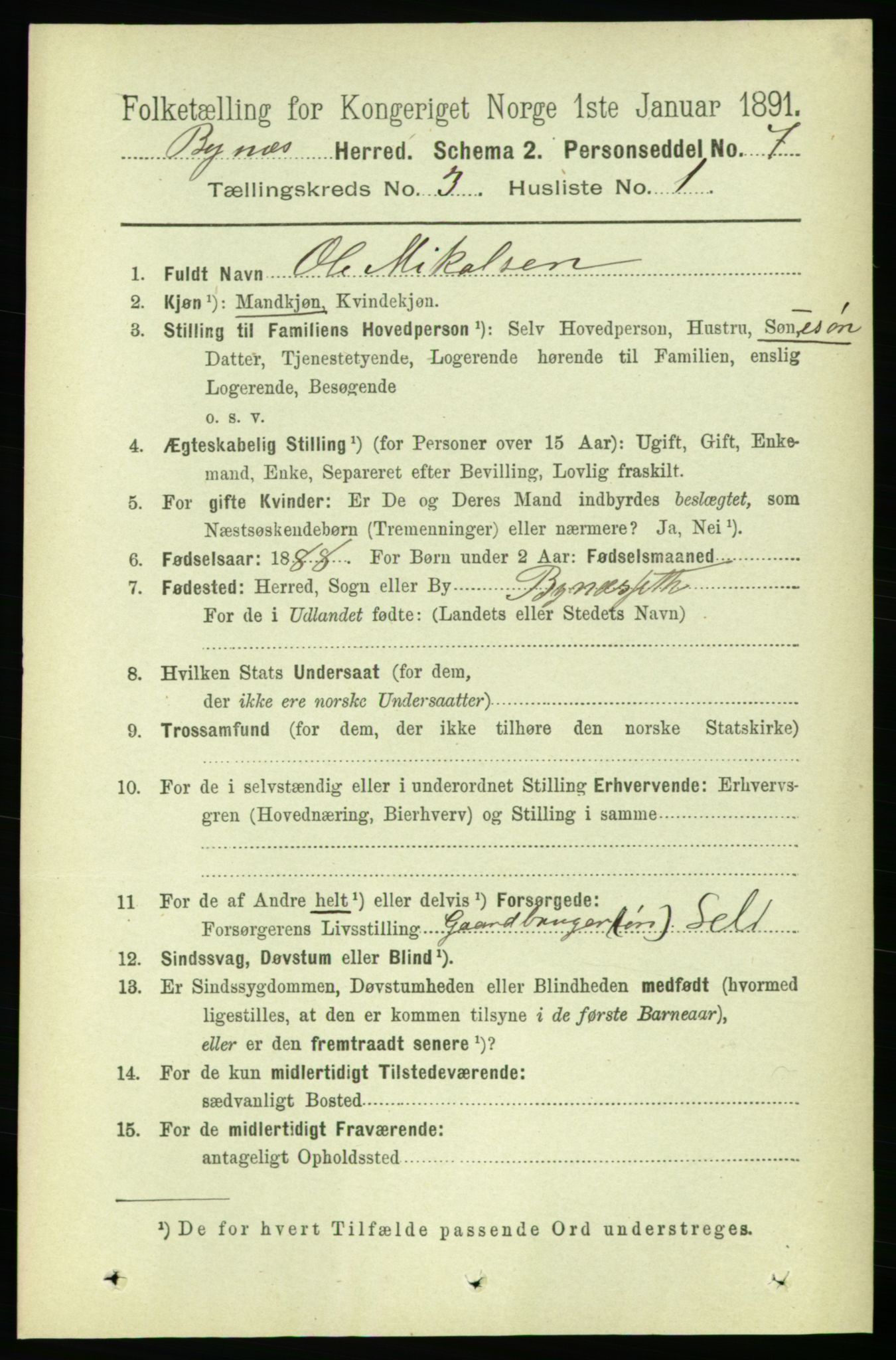 RA, 1891 census for 1655 Byneset, 1891, p. 1291