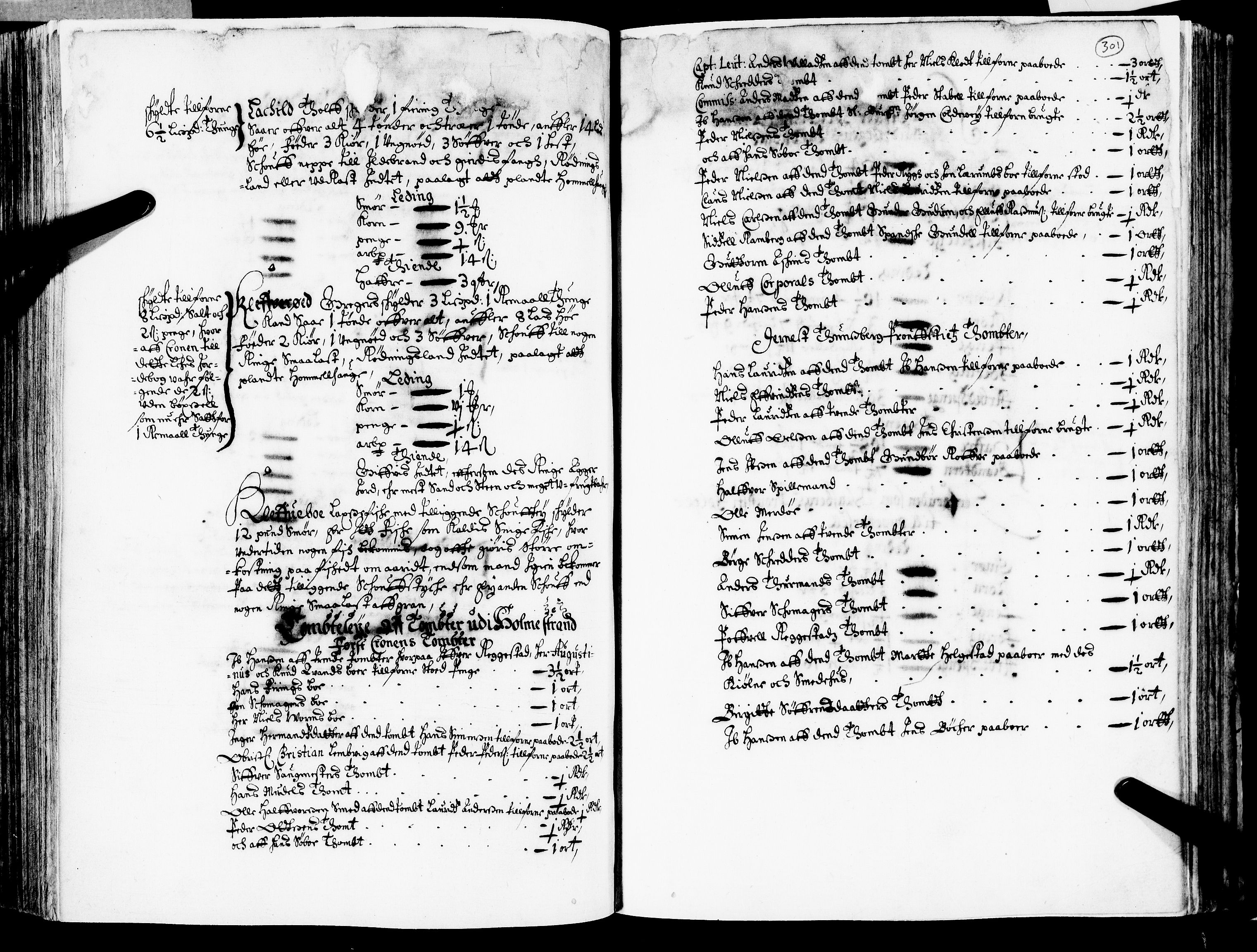 Rentekammeret inntil 1814, Realistisk ordnet avdeling, AV/RA-EA-4070/N/Nb/Nba/L0020: Tønsberg len, 2. del, 1668, p. 300b-301a