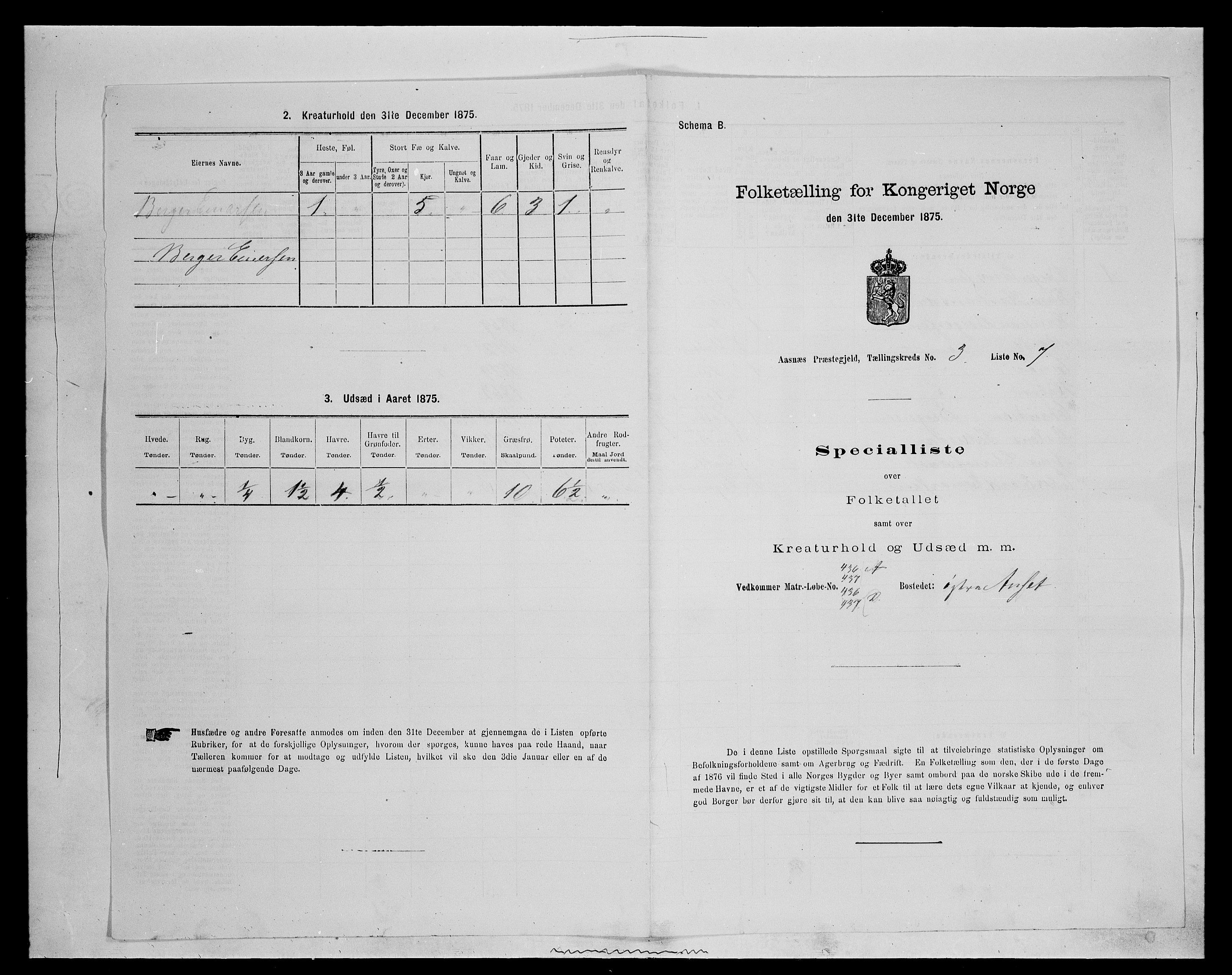 SAH, 1875 census for 0425P Åsnes, 1875, p. 318