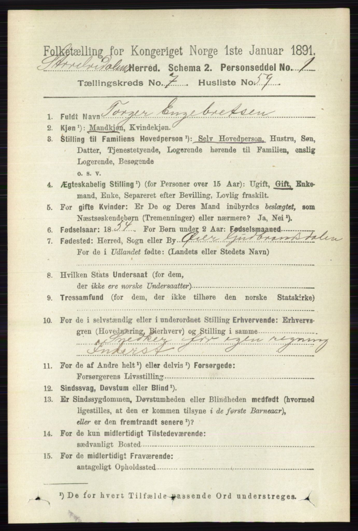 RA, 1891 census for 0430 Stor-Elvdal, 1891, p. 3119