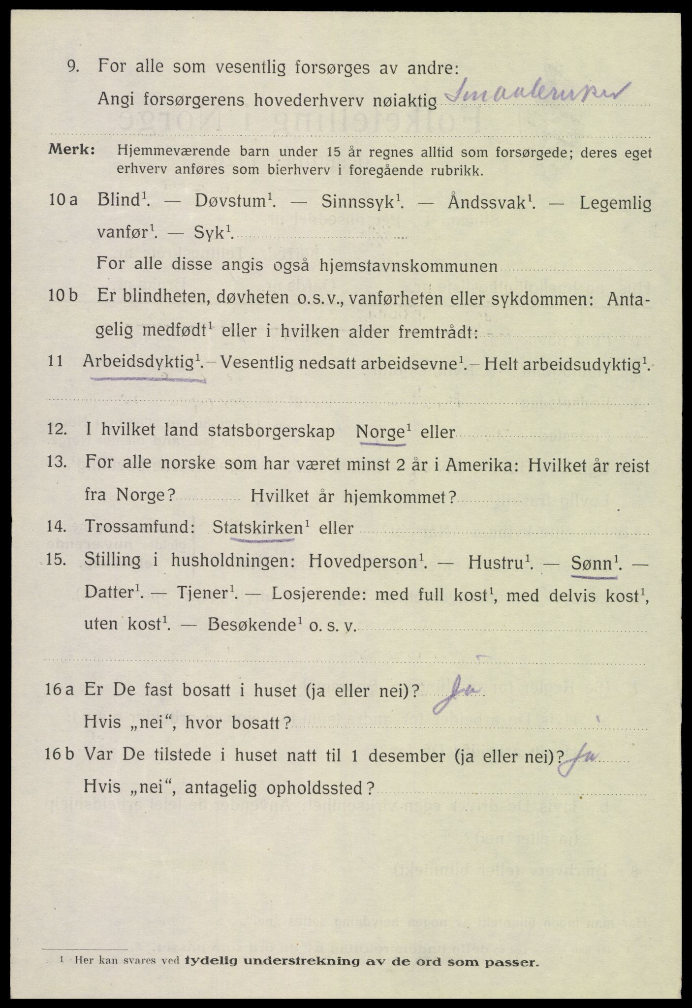 SAH, 1920 census for Vang (Hedmark), 1920, p. 18084