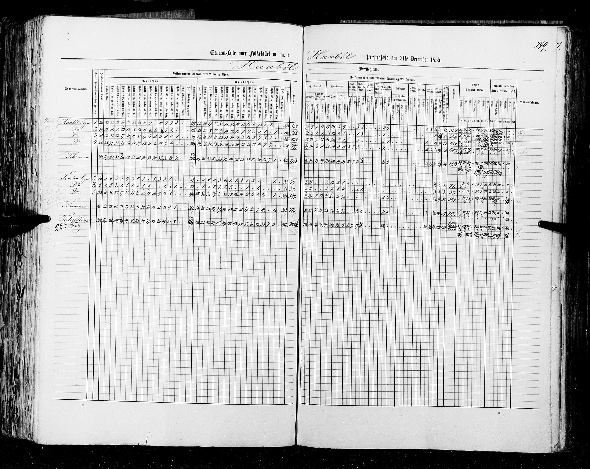 RA, Census 1855, vol. 1: Akershus amt, Smålenenes amt og Hedemarken amt, 1855, p. 249