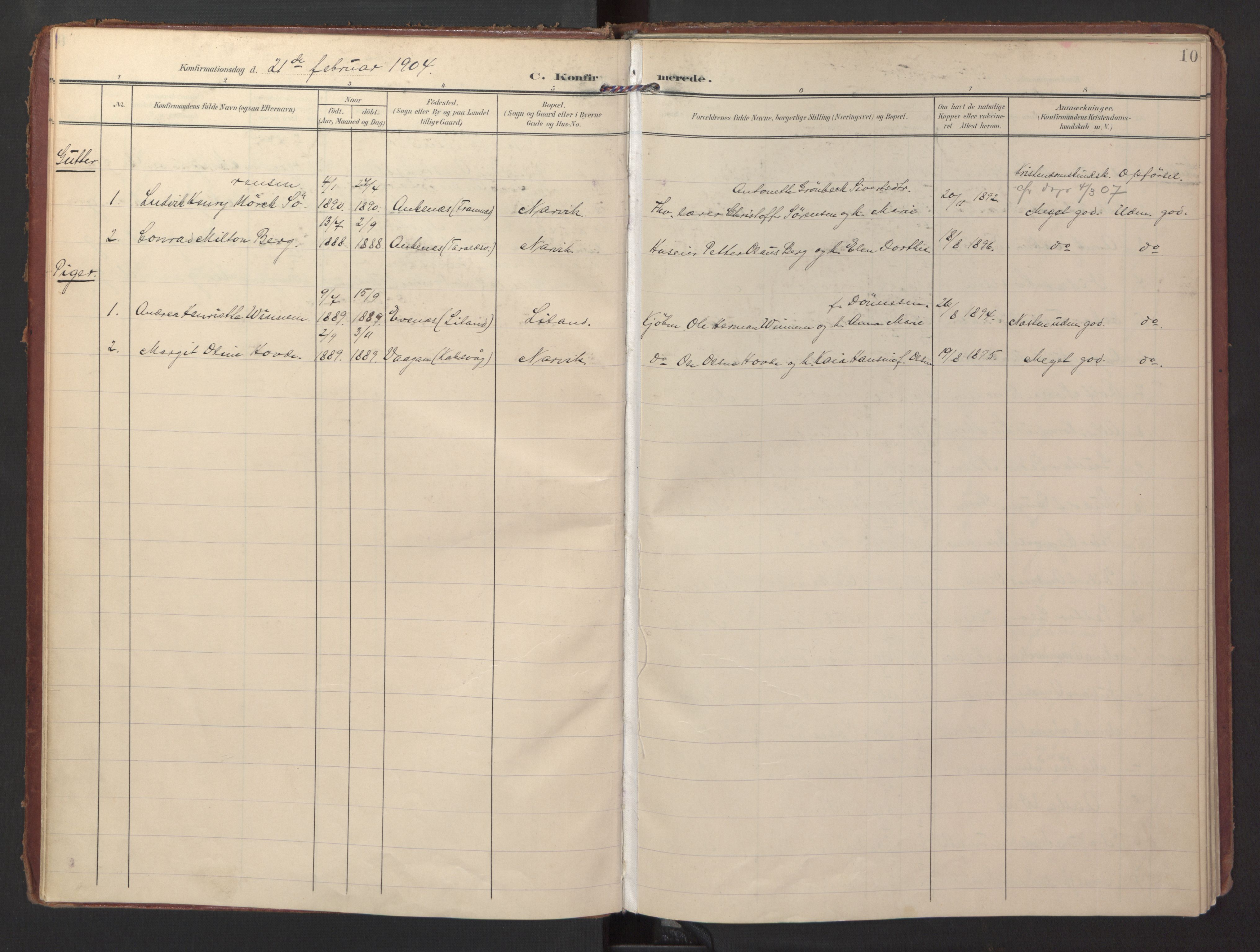 Ministerialprotokoller, klokkerbøker og fødselsregistre - Nordland, SAT/A-1459/871/L0998: Parish register (official) no. 871A14, 1902-1921, p. 10