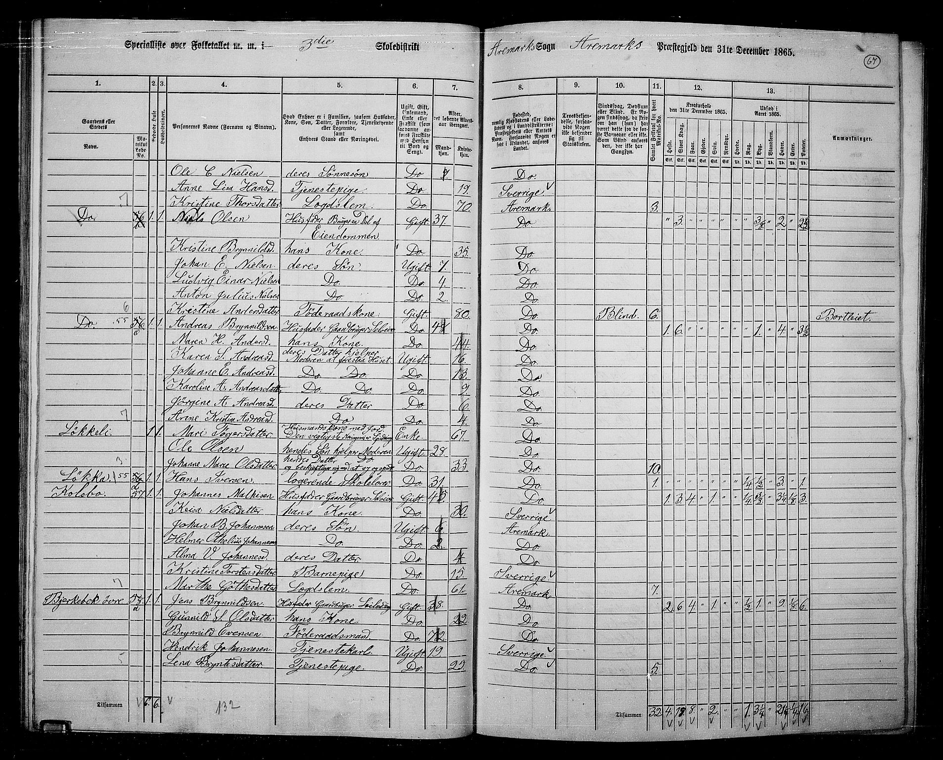 RA, 1865 census for Aremark, 1865, p. 62