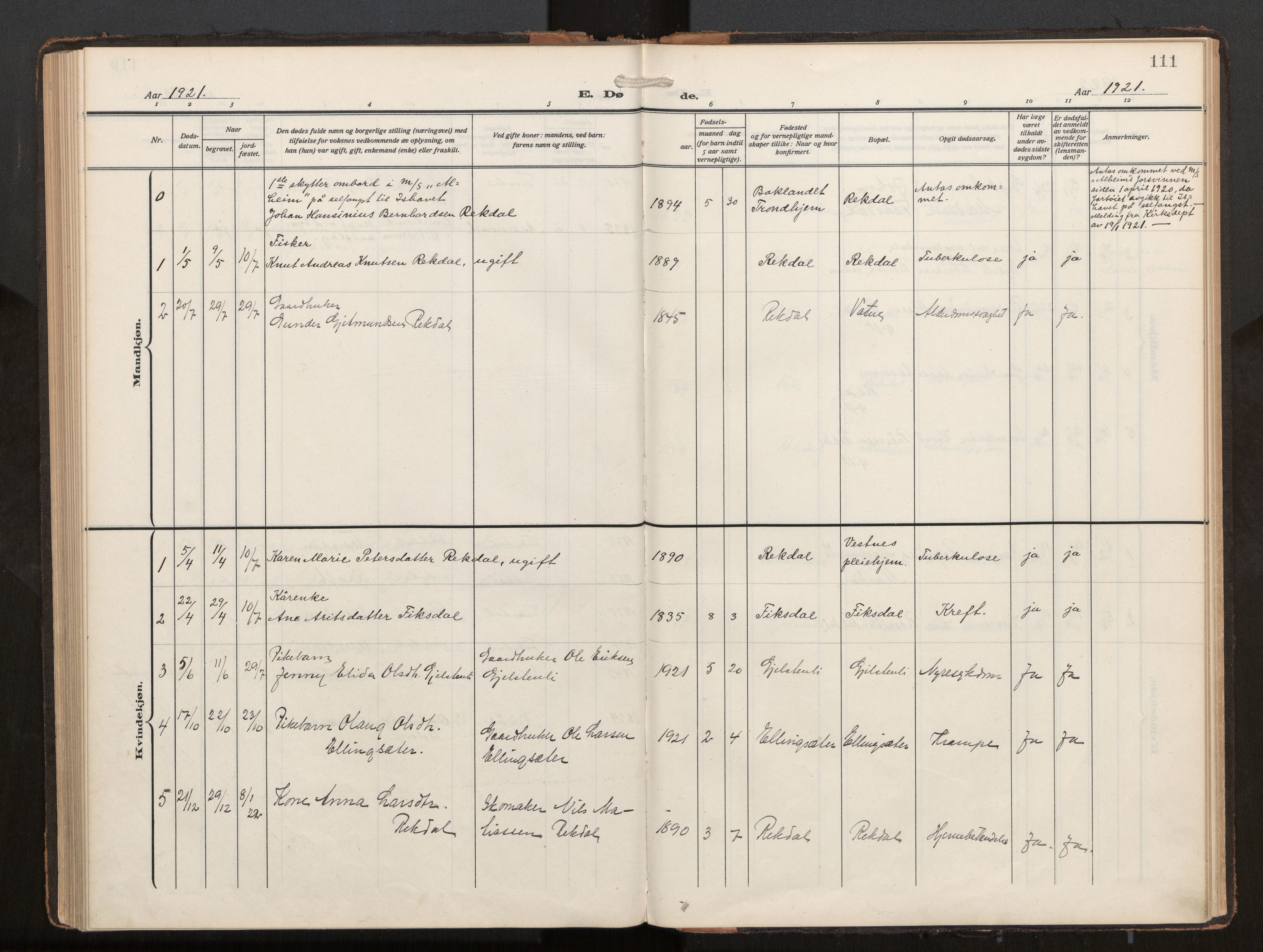 Ministerialprotokoller, klokkerbøker og fødselsregistre - Møre og Romsdal, AV/SAT-A-1454/540/L0540b: Parish register (official) no. 540A03, 1909-1932, p. 111