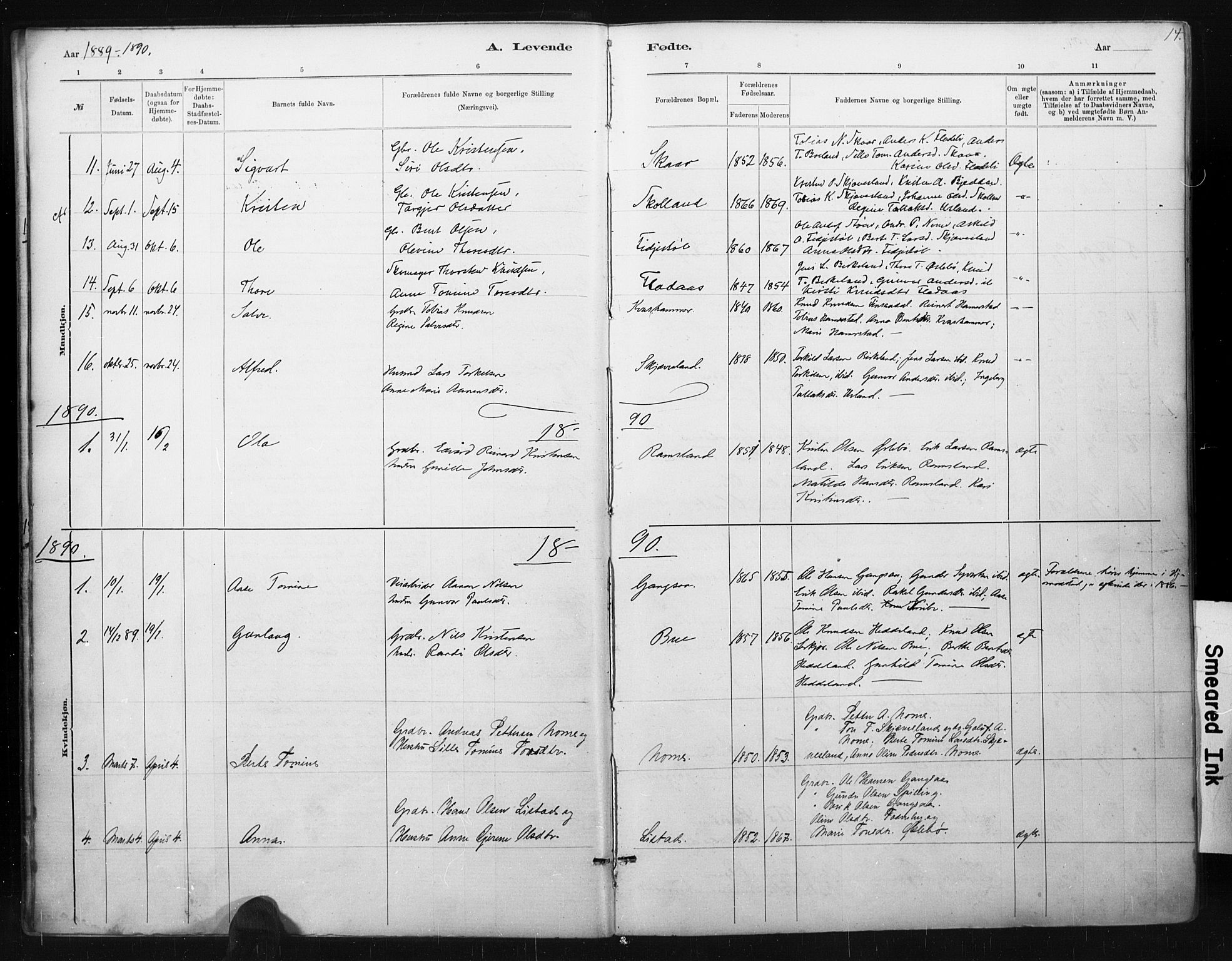 Holum sokneprestkontor, SAK/1111-0022/F/Fa/Fac/L0004: Parish register (official) no. A 4, 1884-1907, p. 14