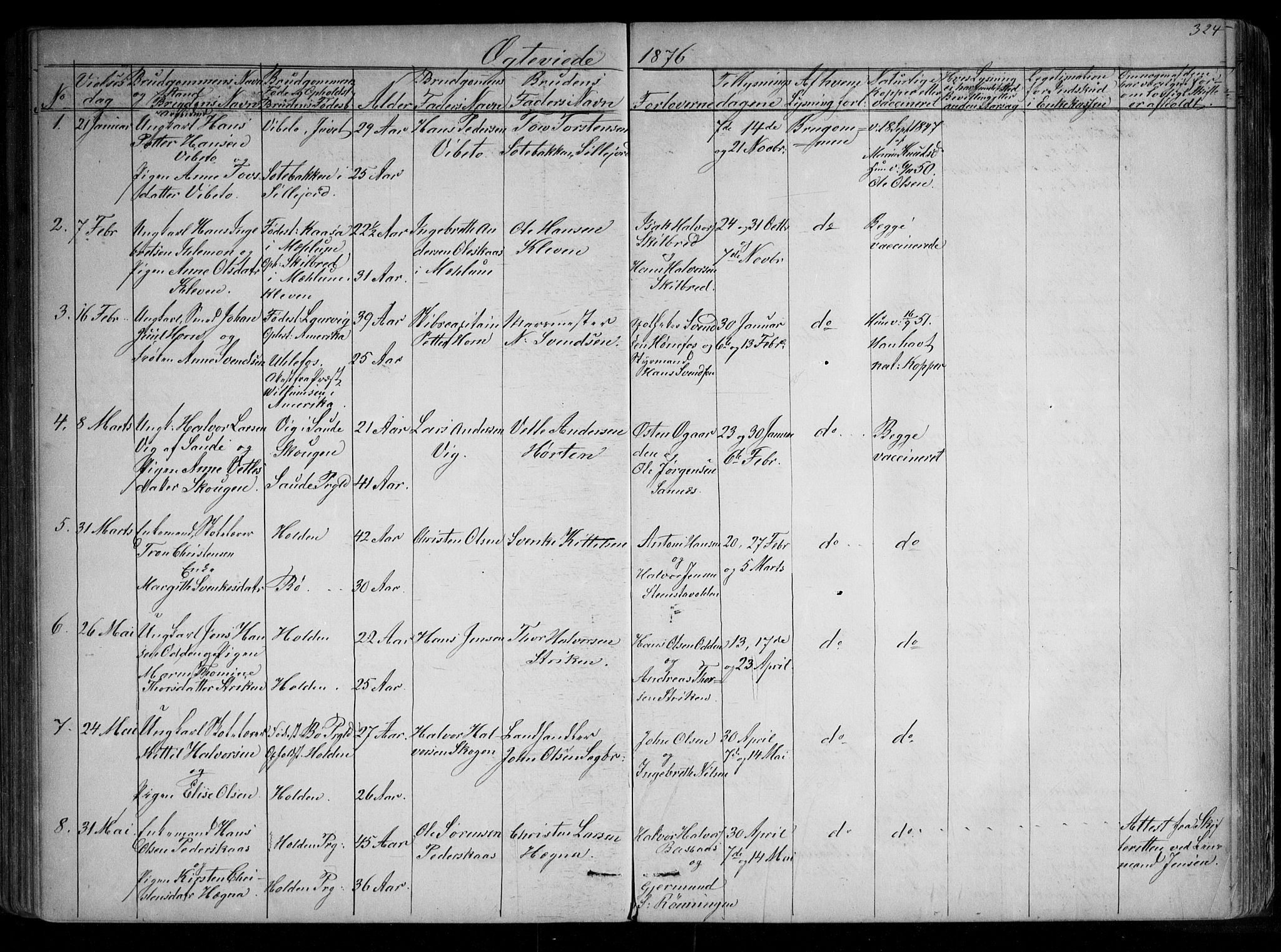 Holla kirkebøker, AV/SAKO-A-272/G/Ga/L0004: Parish register (copy) no. I 4, 1867-1890, p. 324