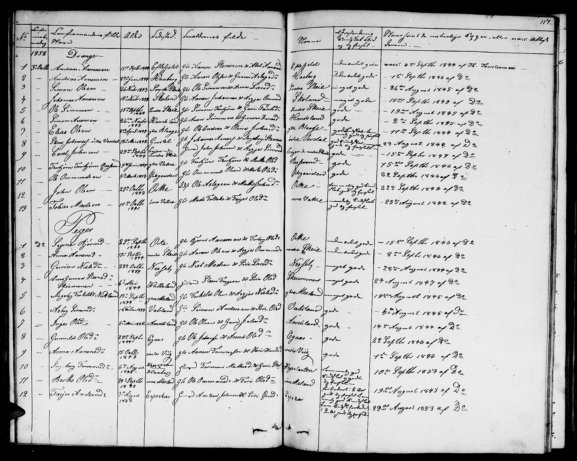 Hægebostad sokneprestkontor, AV/SAK-1111-0024/F/Fb/Fbb/L0002: Parish register (copy) no. B 2, 1851-1886, p. 117