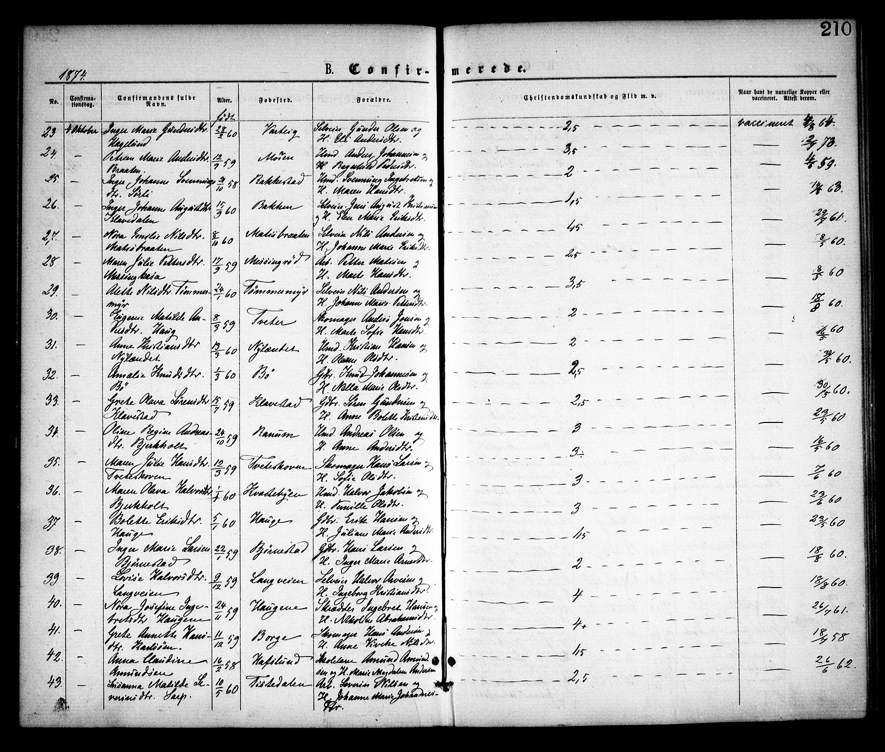 Skjeberg prestekontor Kirkebøker, SAO/A-10923/F/Fa/L0008: Parish register (official) no. I 8, 1869-1885, p. 210
