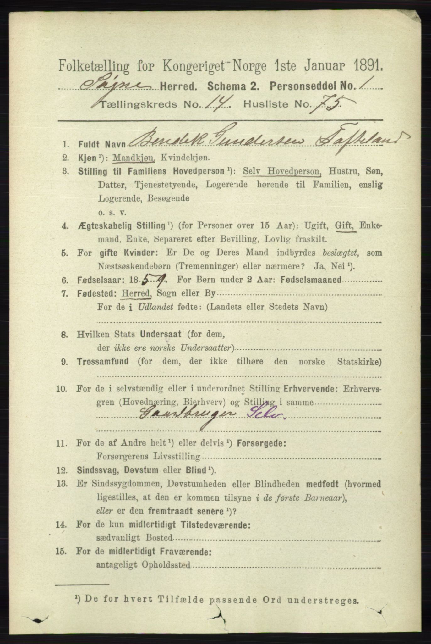 RA, 1891 census for 1018 Søgne, 1891, p. 3791