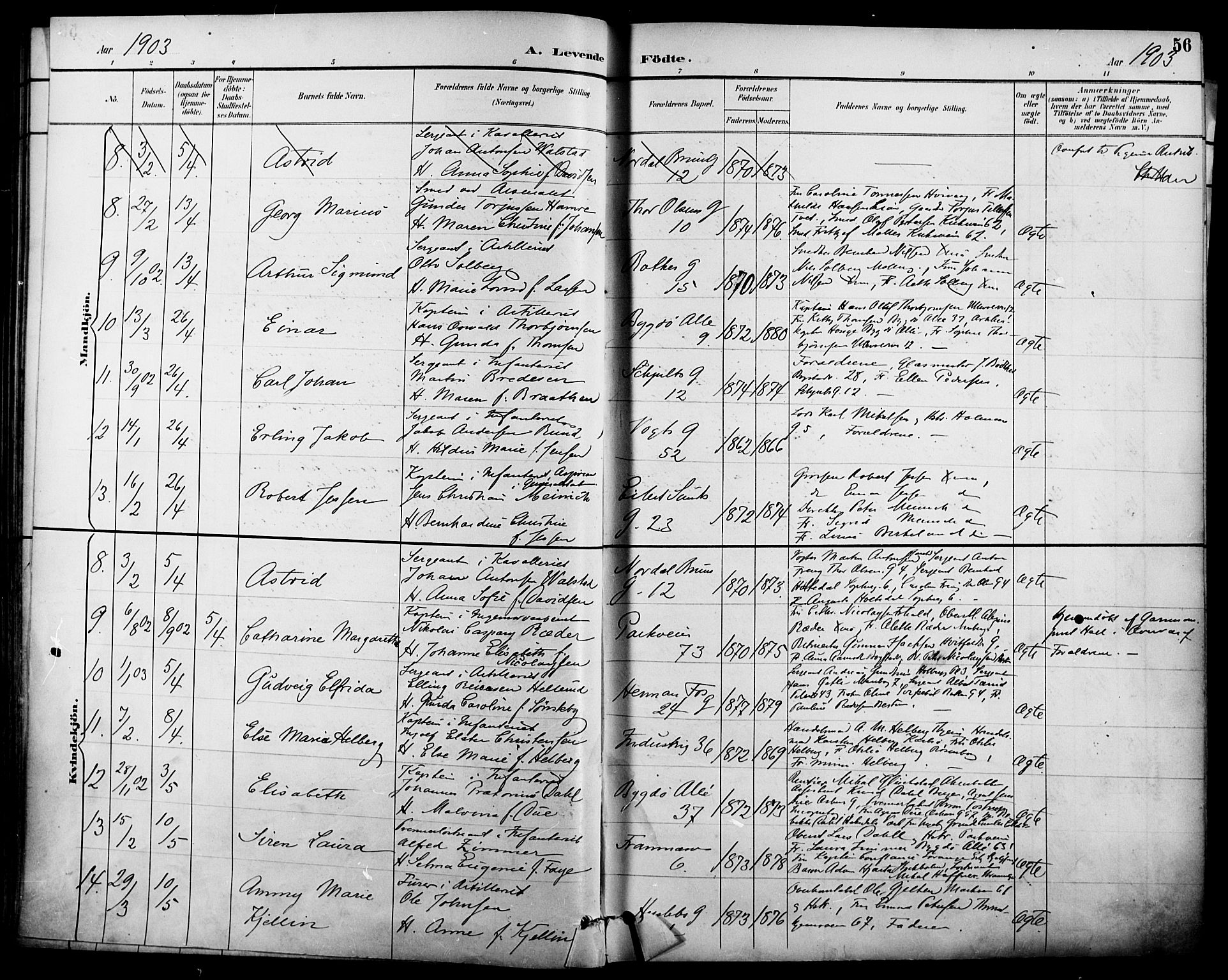 Garnisonsmenigheten Kirkebøker, AV/SAO-A-10846/F/Fa/L0013: Parish register (official) no. 13, 1894-1904, p. 56