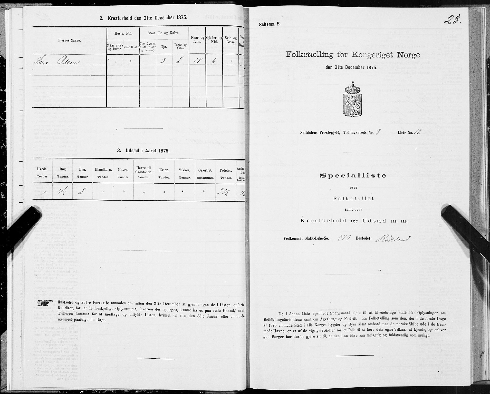 SAT, 1875 census for 1840P Saltdal, 1875, p. 2023