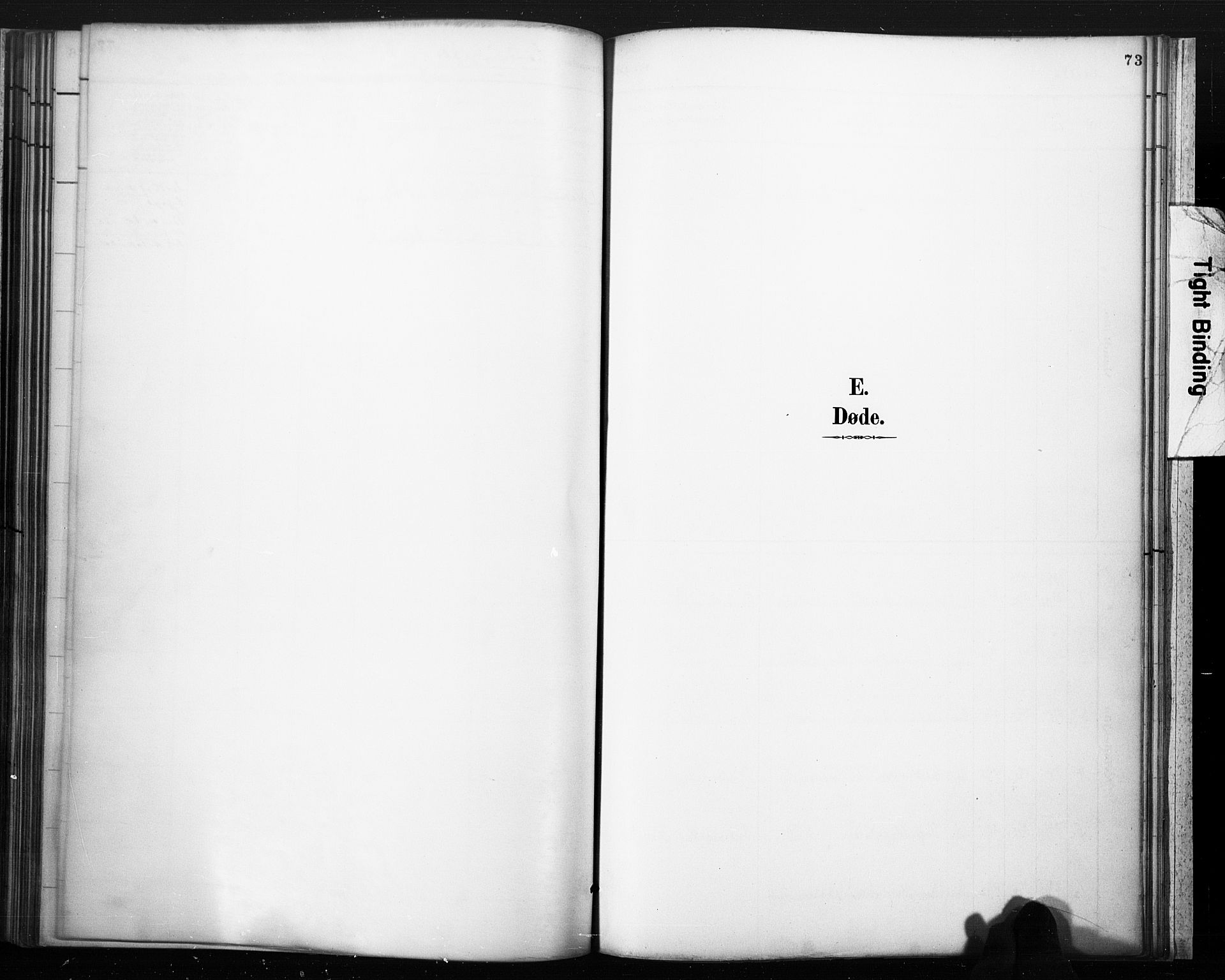 Lårdal kirkebøker, AV/SAKO-A-284/F/Fc/L0002: Parish register (official) no. III 2, 1887-1906, p. 73