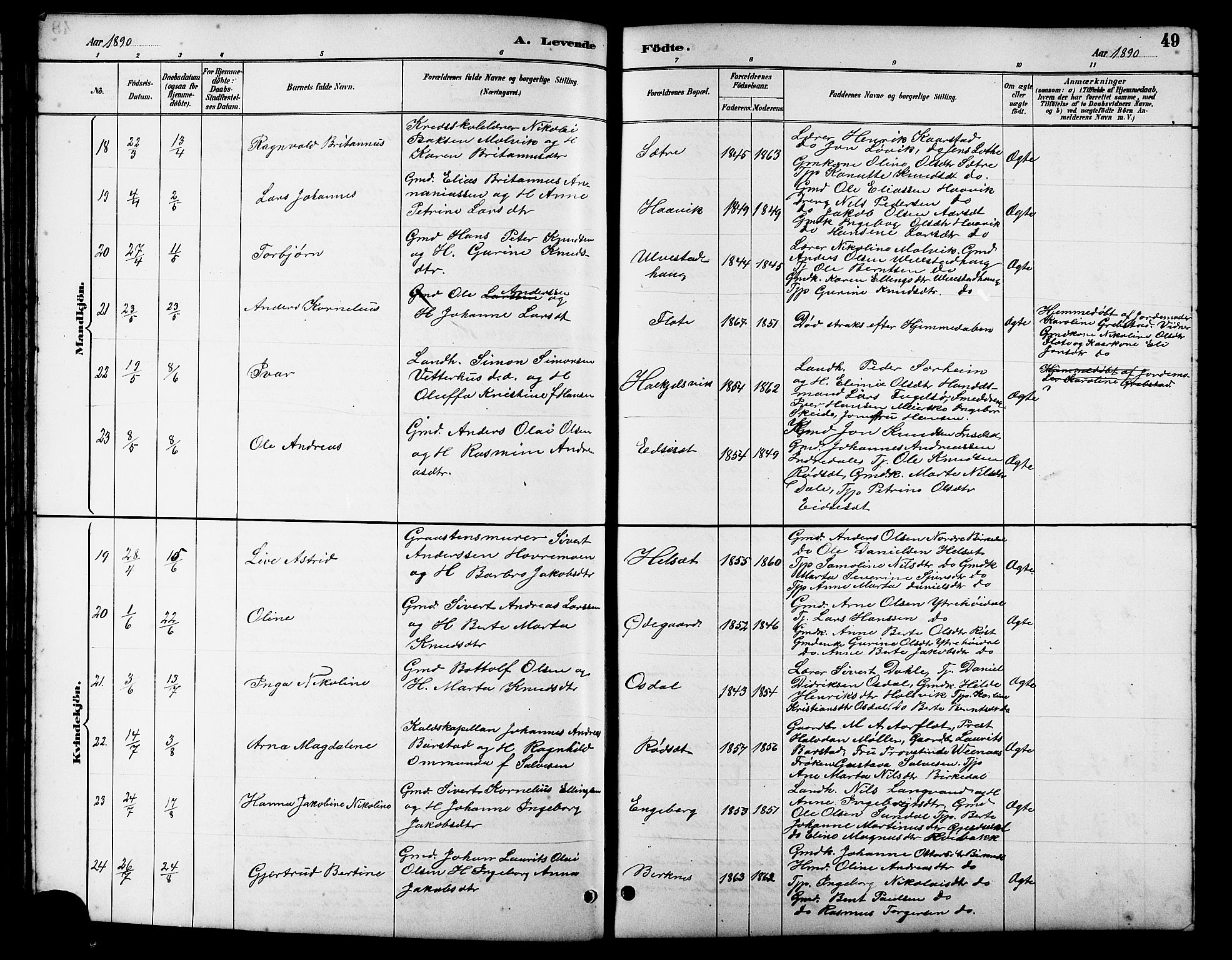 Ministerialprotokoller, klokkerbøker og fødselsregistre - Møre og Romsdal, AV/SAT-A-1454/511/L0158: Parish register (copy) no. 511C04, 1884-1903, p. 49