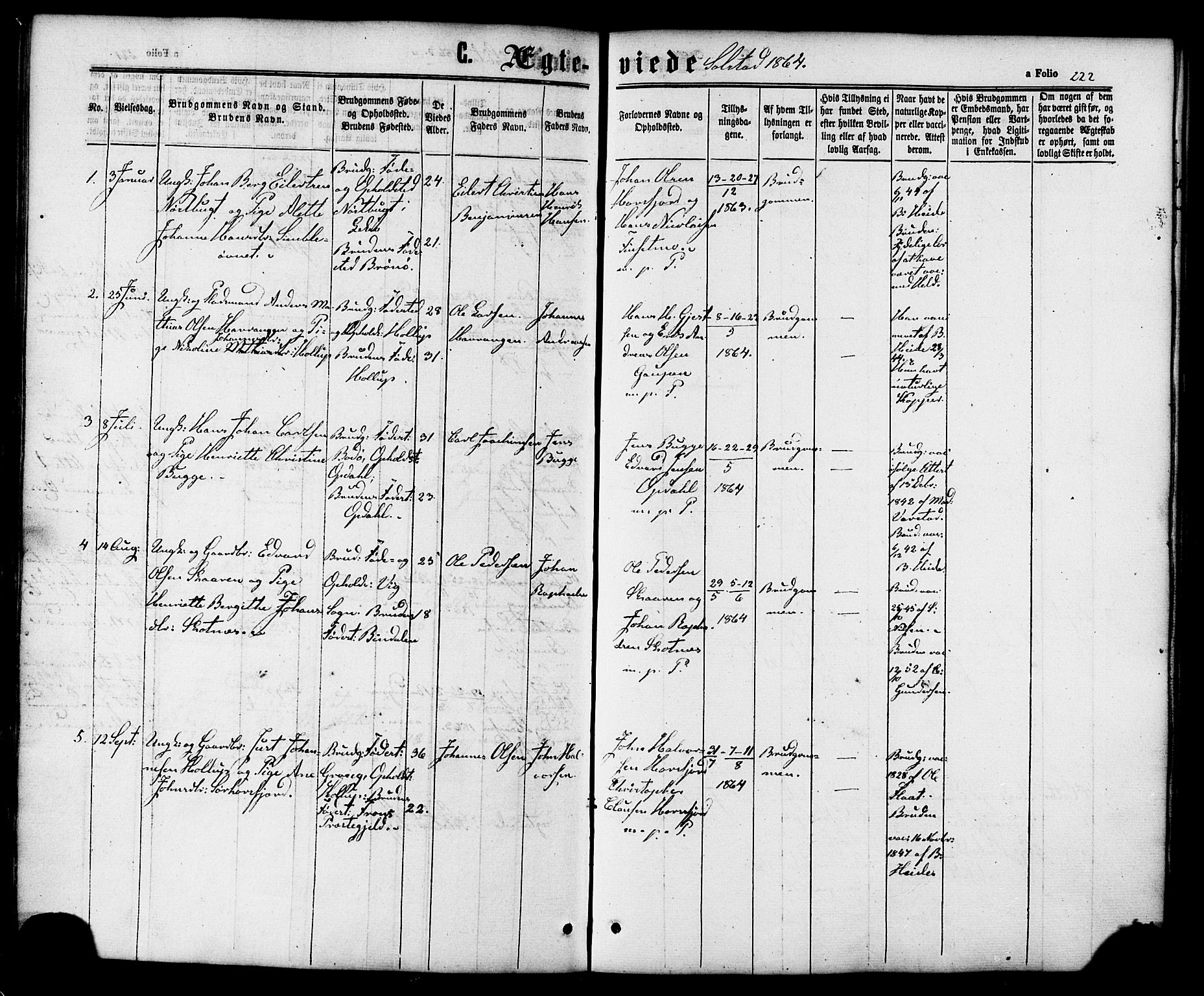 Ministerialprotokoller, klokkerbøker og fødselsregistre - Nordland, AV/SAT-A-1459/810/L0147: Parish register (official) no. 810A08 /2, 1862-1874, p. 222