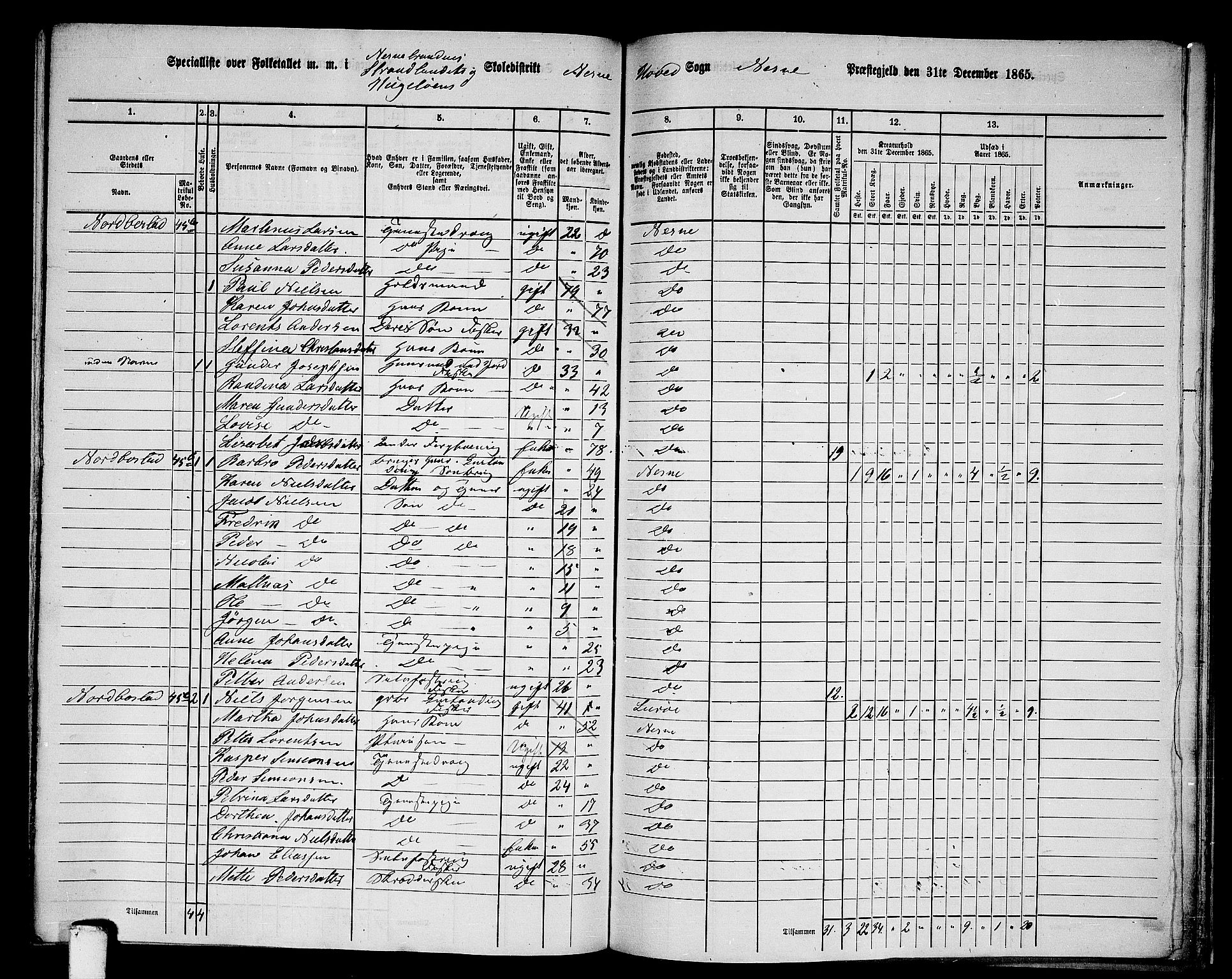 RA, 1865 census for Nesna, 1865, p. 142