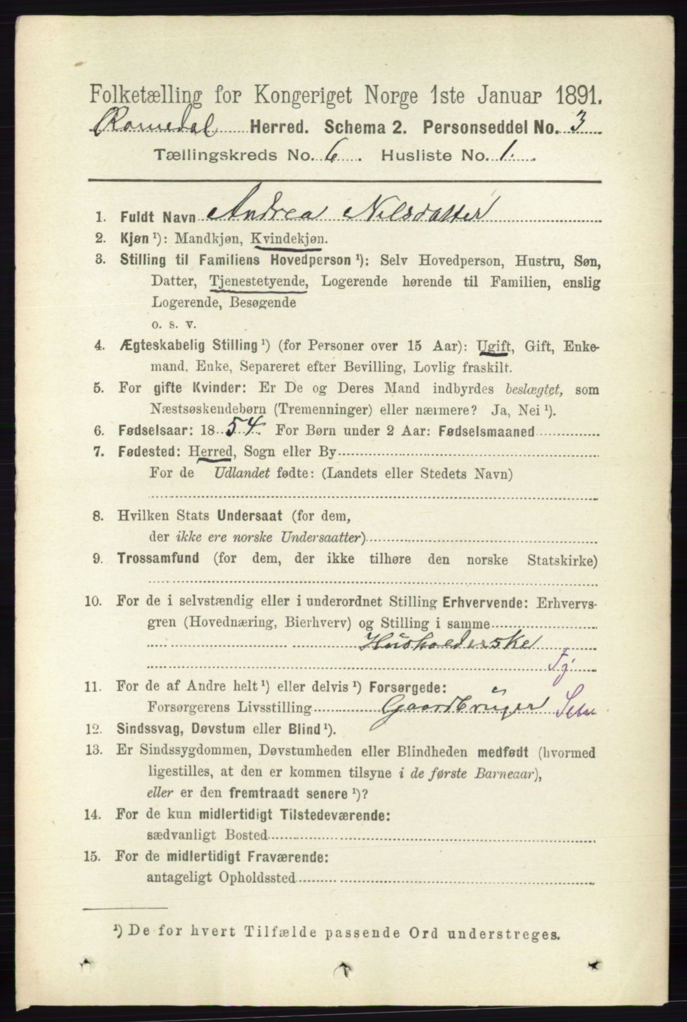 RA, 1891 census for 0416 Romedal, 1891, p. 2954