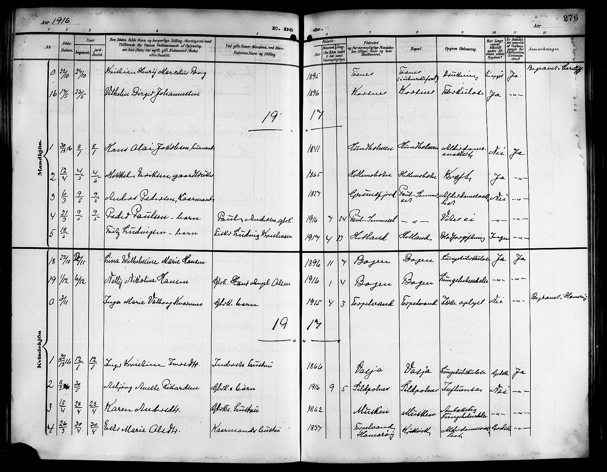 Ministerialprotokoller, klokkerbøker og fødselsregistre - Nordland, AV/SAT-A-1459/861/L0877: Parish register (copy) no. 861C03, 1903-1919, p. 276