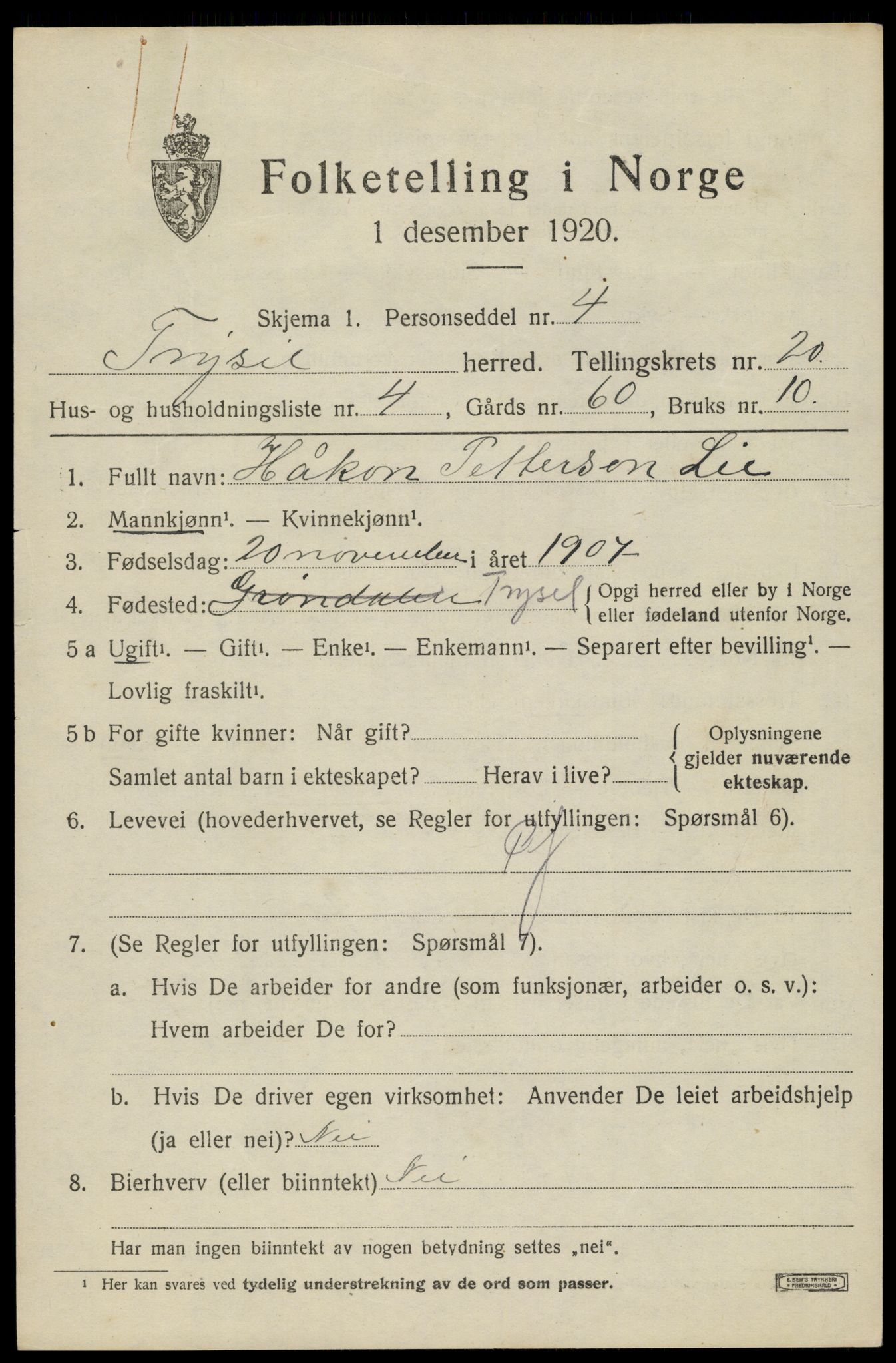 SAH, 1920 census for Trysil, 1920, p. 13045