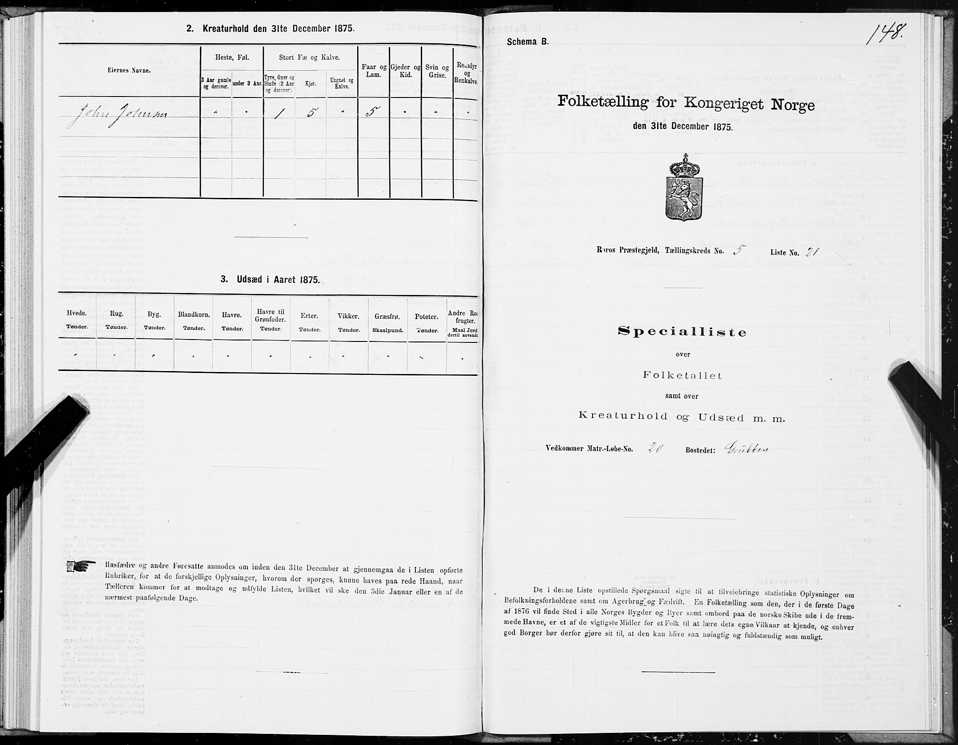 SAT, 1875 census for 1640P Røros, 1875, p. 3148