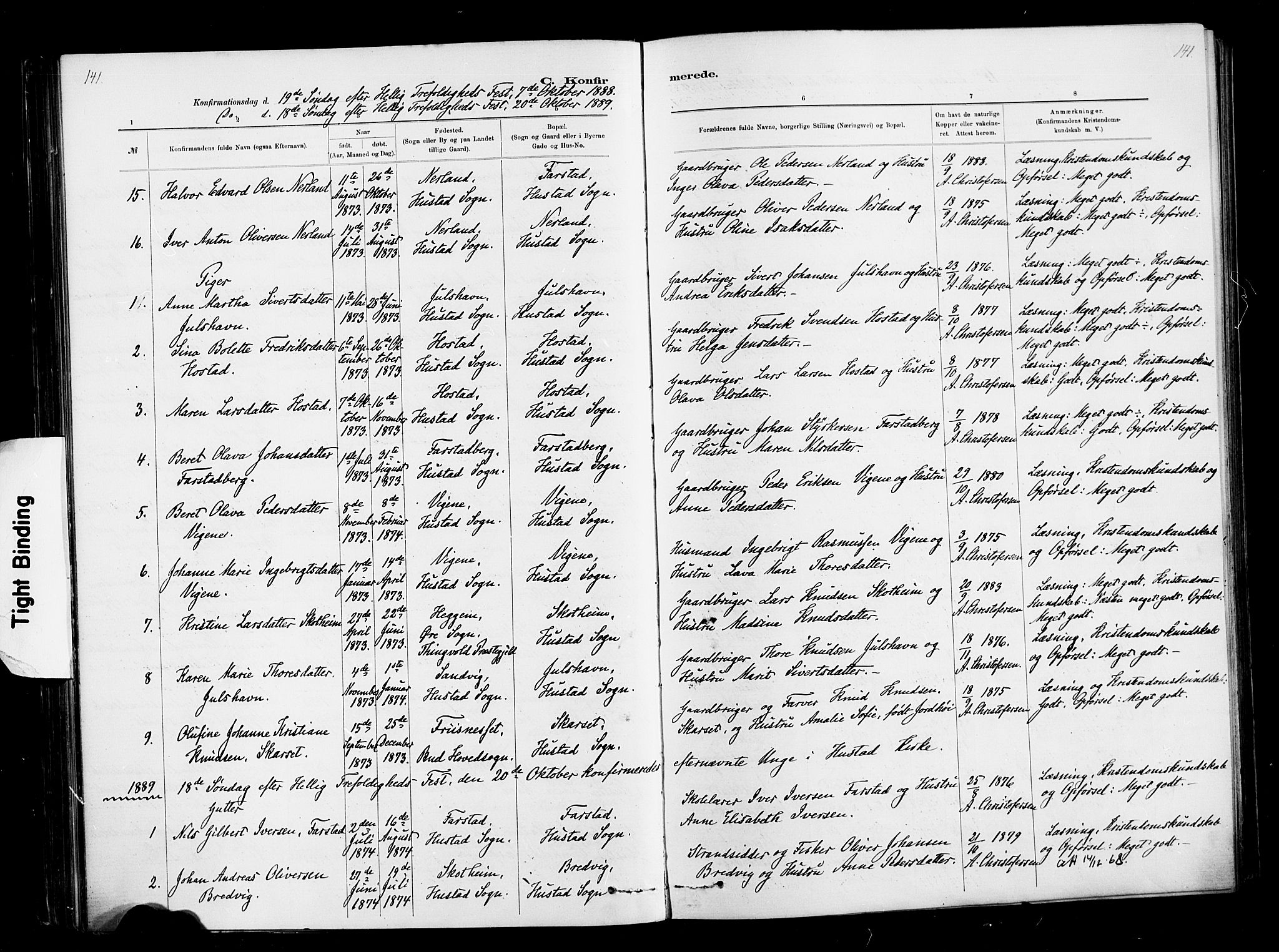 Ministerialprotokoller, klokkerbøker og fødselsregistre - Møre og Romsdal, SAT/A-1454/567/L0778: Parish register (official) no. 567A01, 1881-1903, p. 141