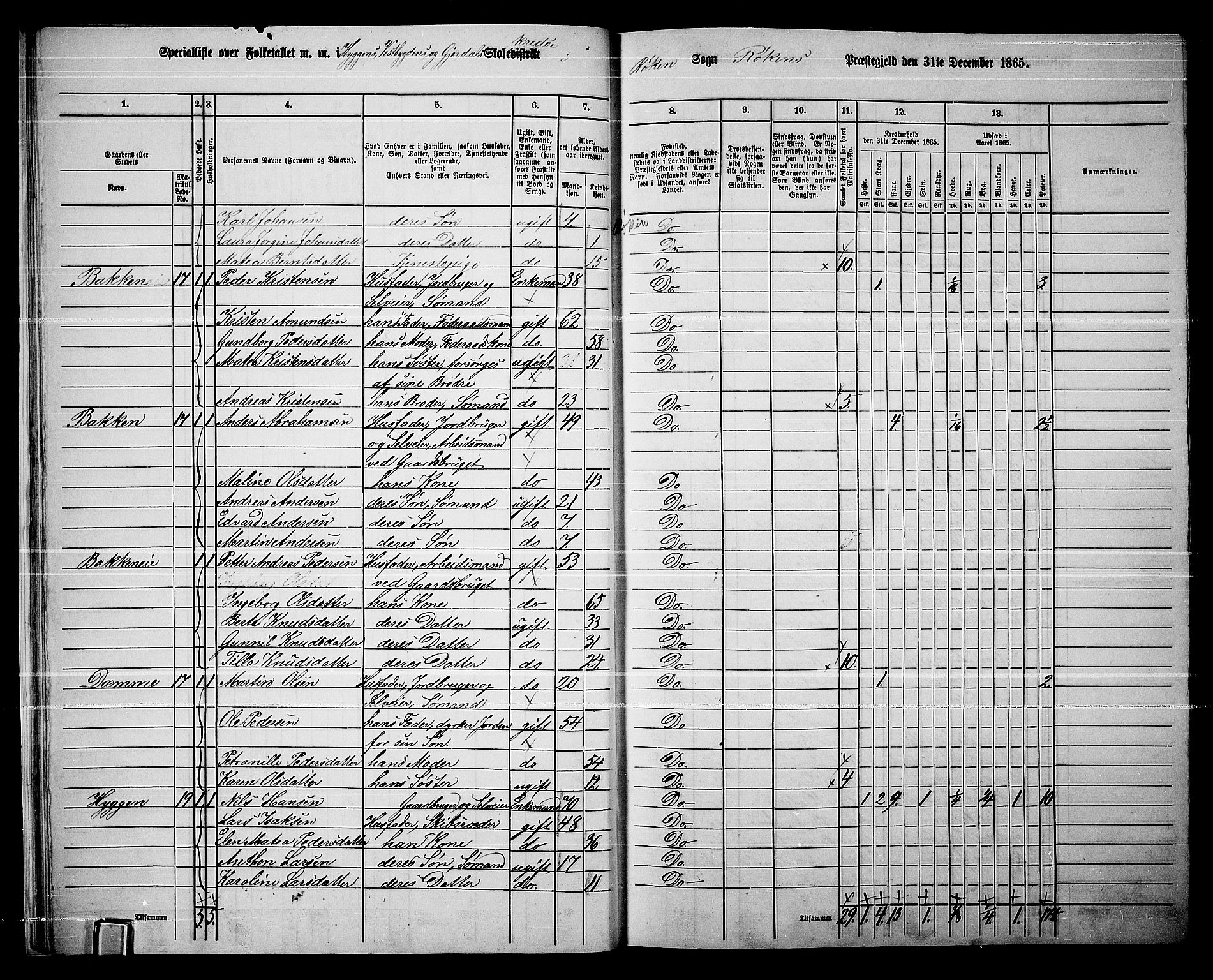 RA, 1865 census for Røyken, 1865, p. 25