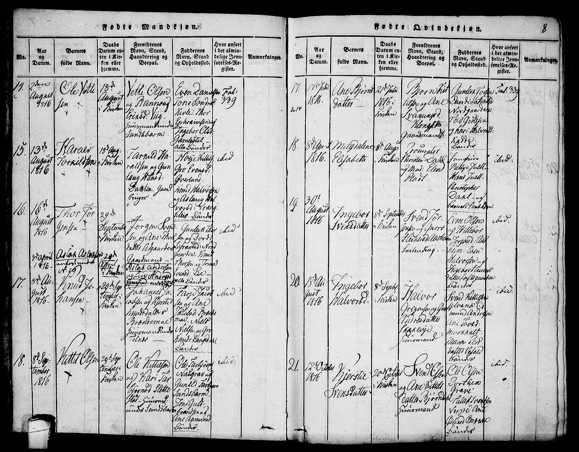 Seljord kirkebøker, SAKO/A-20/F/Fa/L0010: Parish register (official) no. I 10, 1815-1831, p. 8