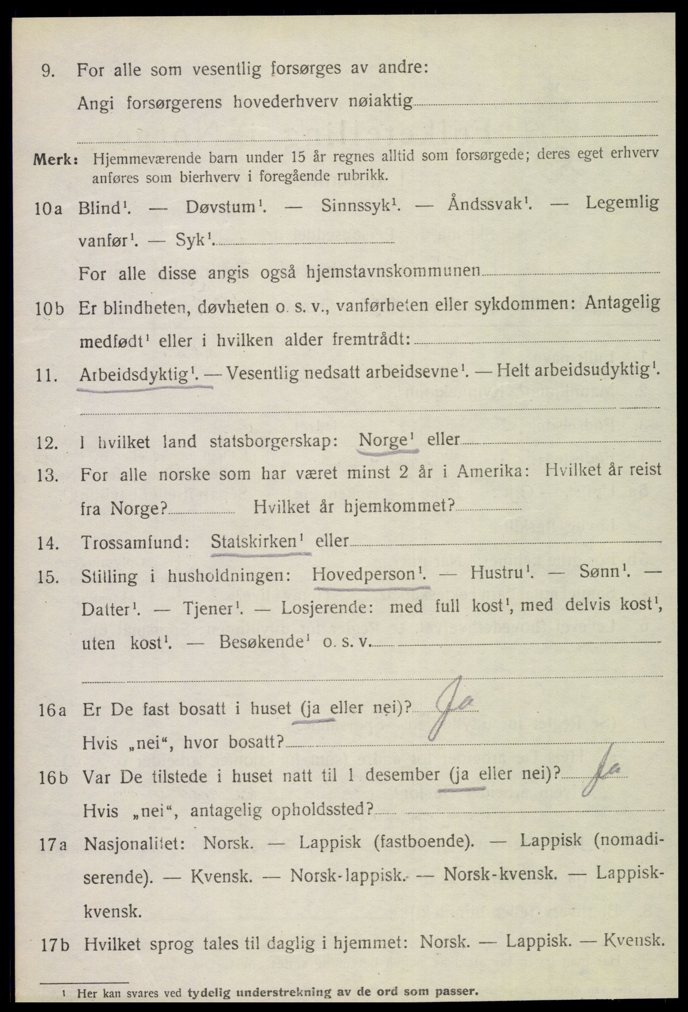 SAT, 1920 census for Fauske, 1920, p. 10117