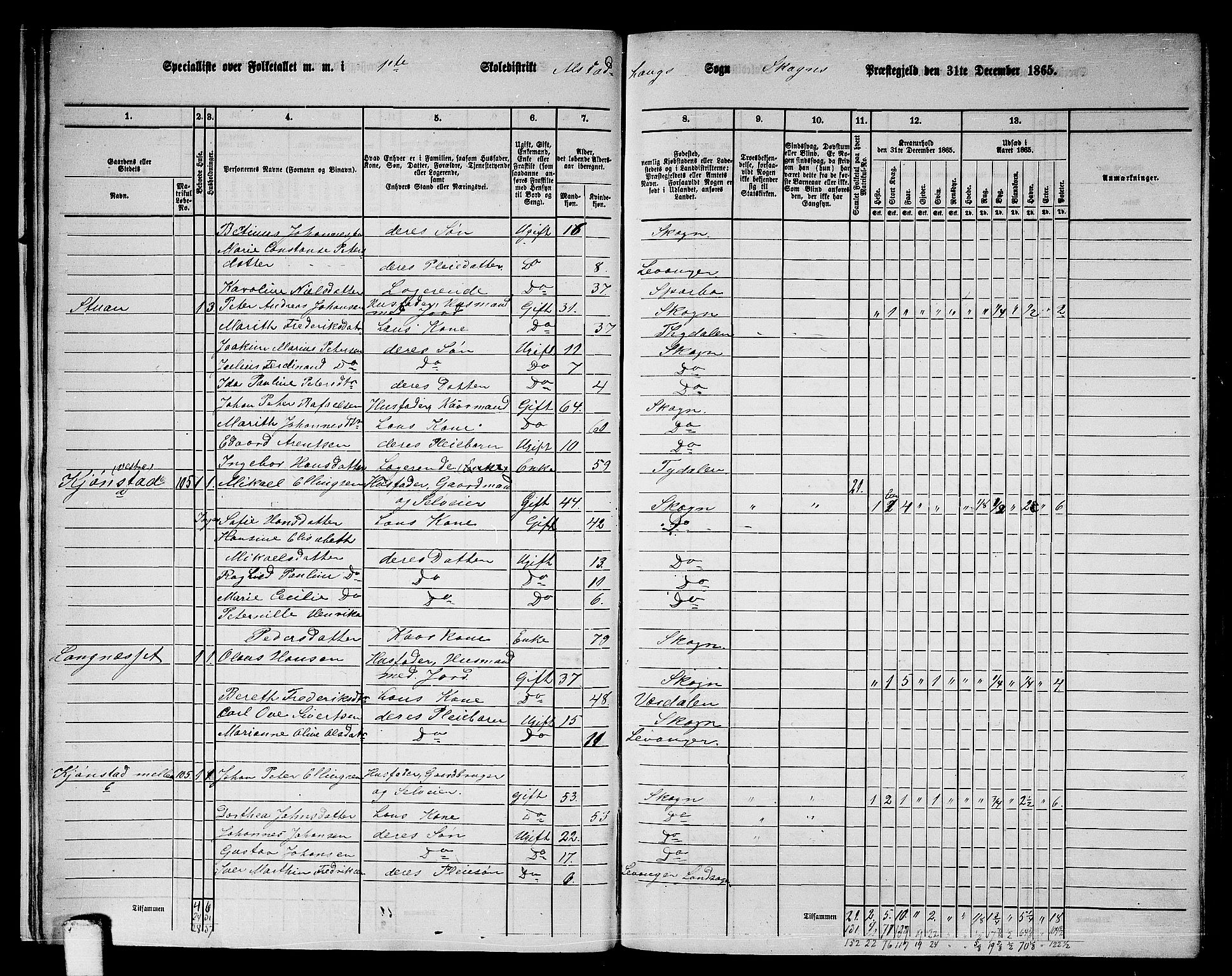 RA, 1865 census for Skogn, 1865, p. 21