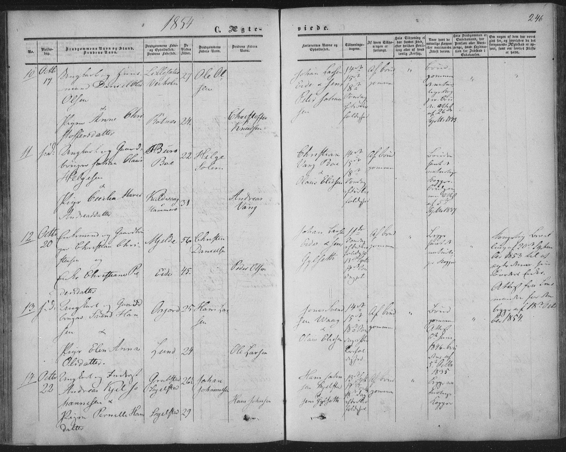 Ministerialprotokoller, klokkerbøker og fødselsregistre - Nordland, AV/SAT-A-1459/855/L0800: Parish register (official) no. 855A08, 1852-1864, p. 246