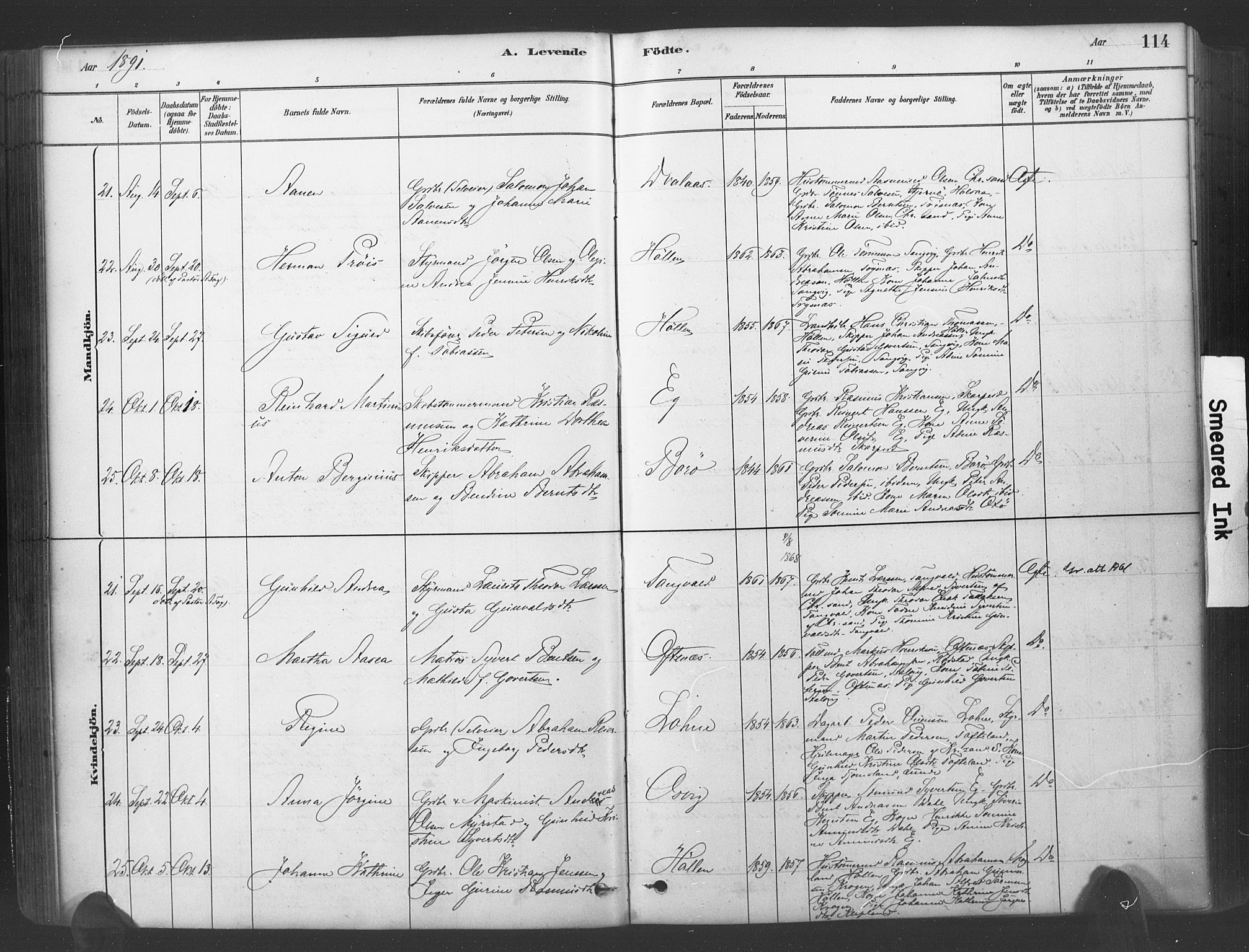 Søgne sokneprestkontor, SAK/1111-0037/F/Fa/Fab/L0012: Parish register (official) no. A 12, 1880-1891, p. 114