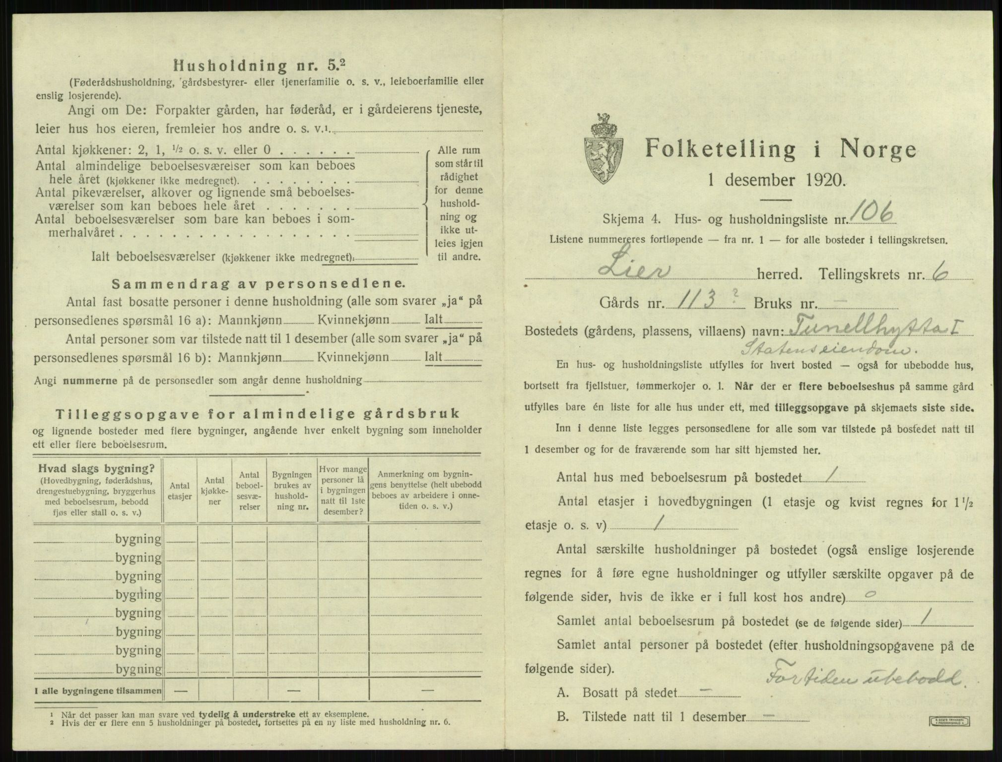 SAKO, 1920 census for Lier, 1920, p. 1072