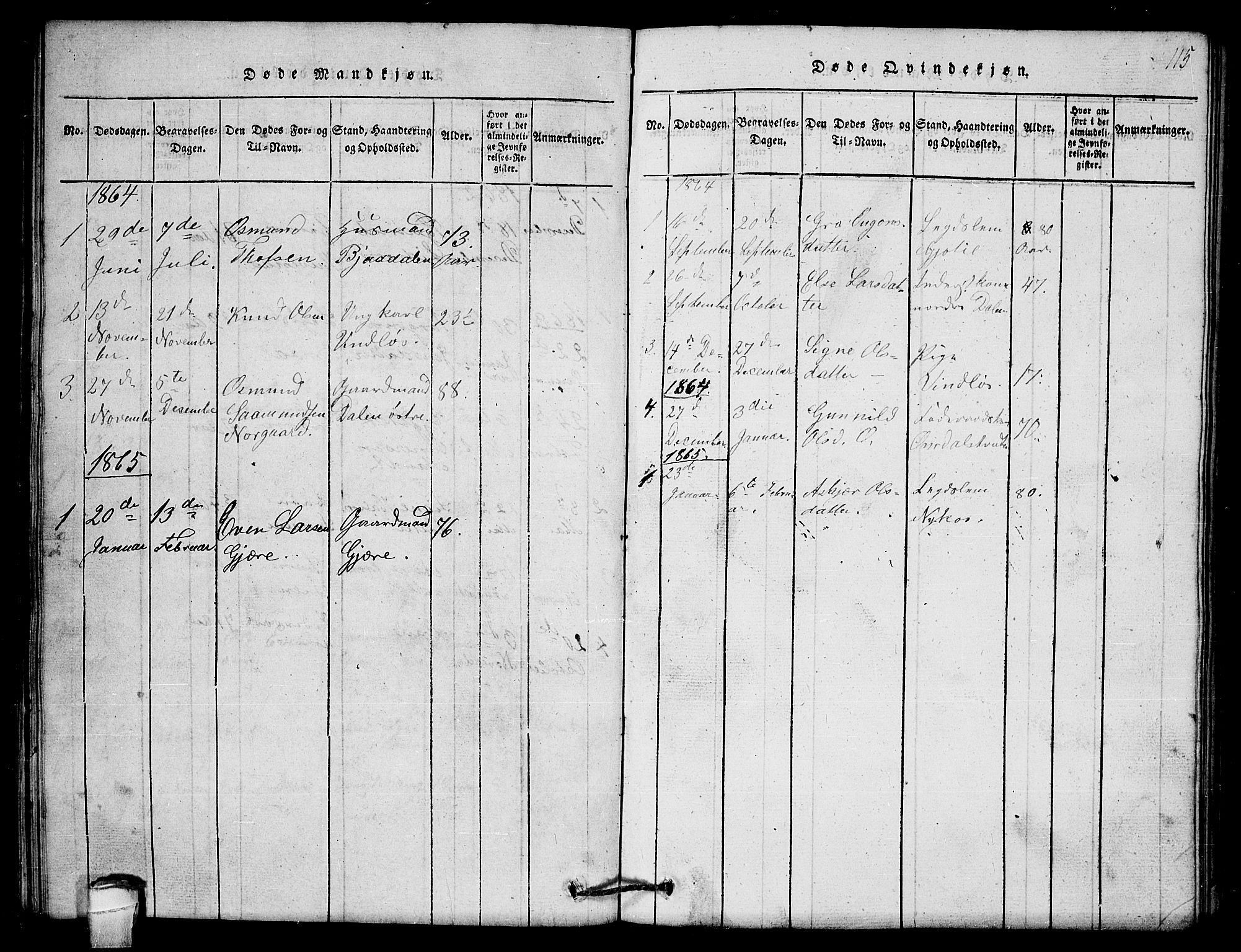 Lårdal kirkebøker, SAKO/A-284/G/Gb/L0001: Parish register (copy) no. II 1, 1815-1865, p. 115
