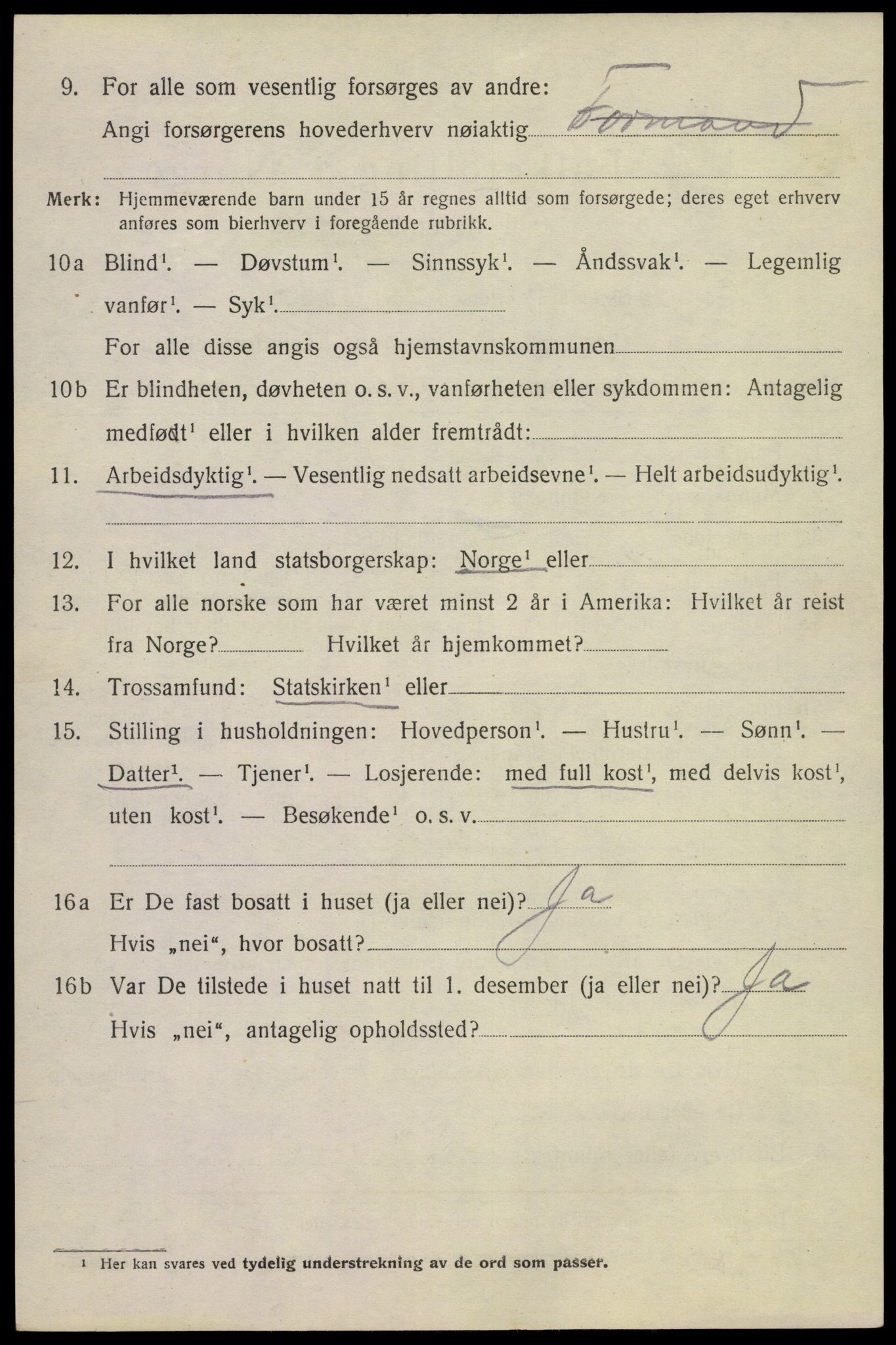 SAKO, 1920 census for Tinn, 1920, p. 10937