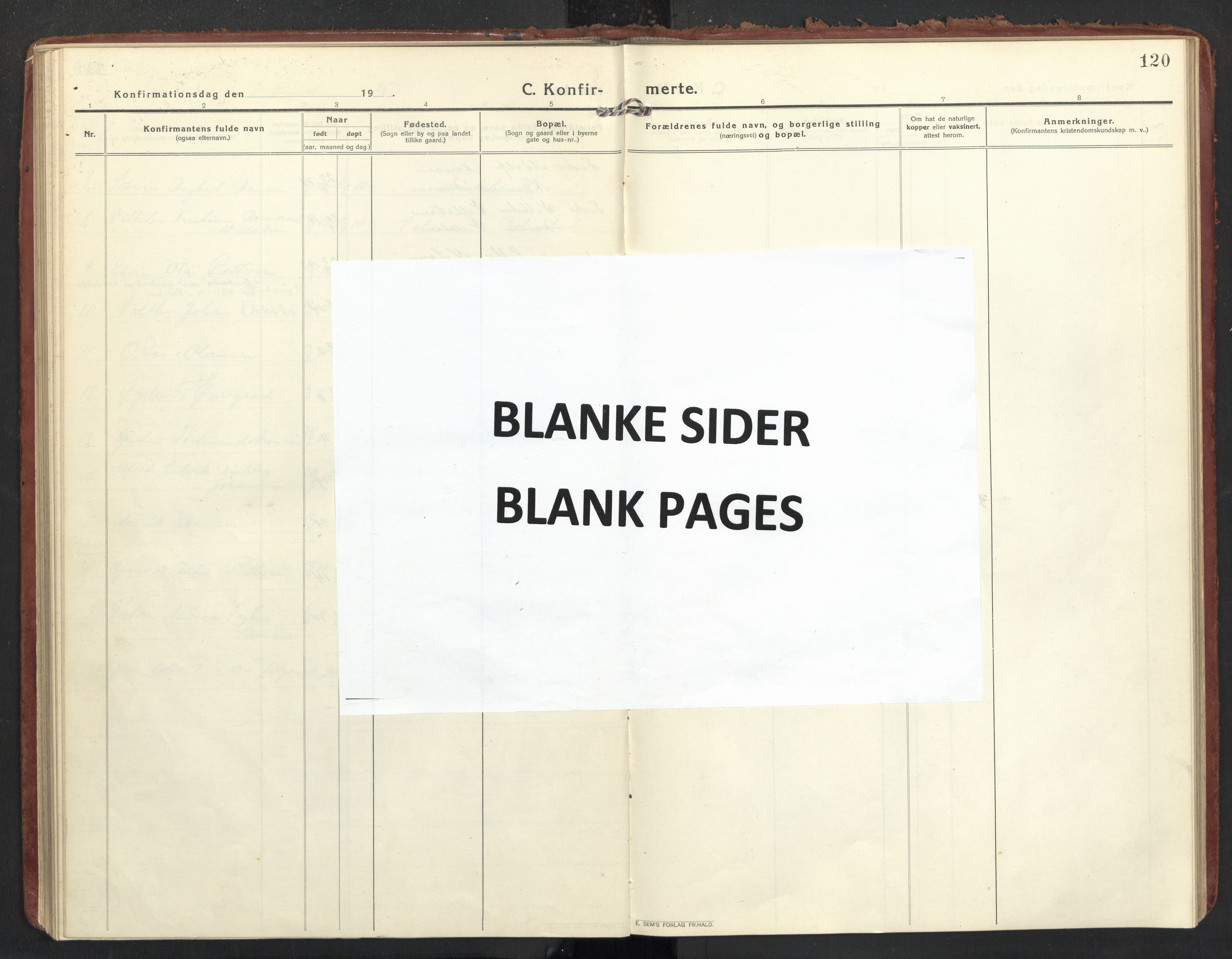 Ministerialprotokoller, klokkerbøker og fødselsregistre - Nordland, AV/SAT-A-1459/890/L1288: Parish register (official) no. 890A03, 1915-1925, p. 120