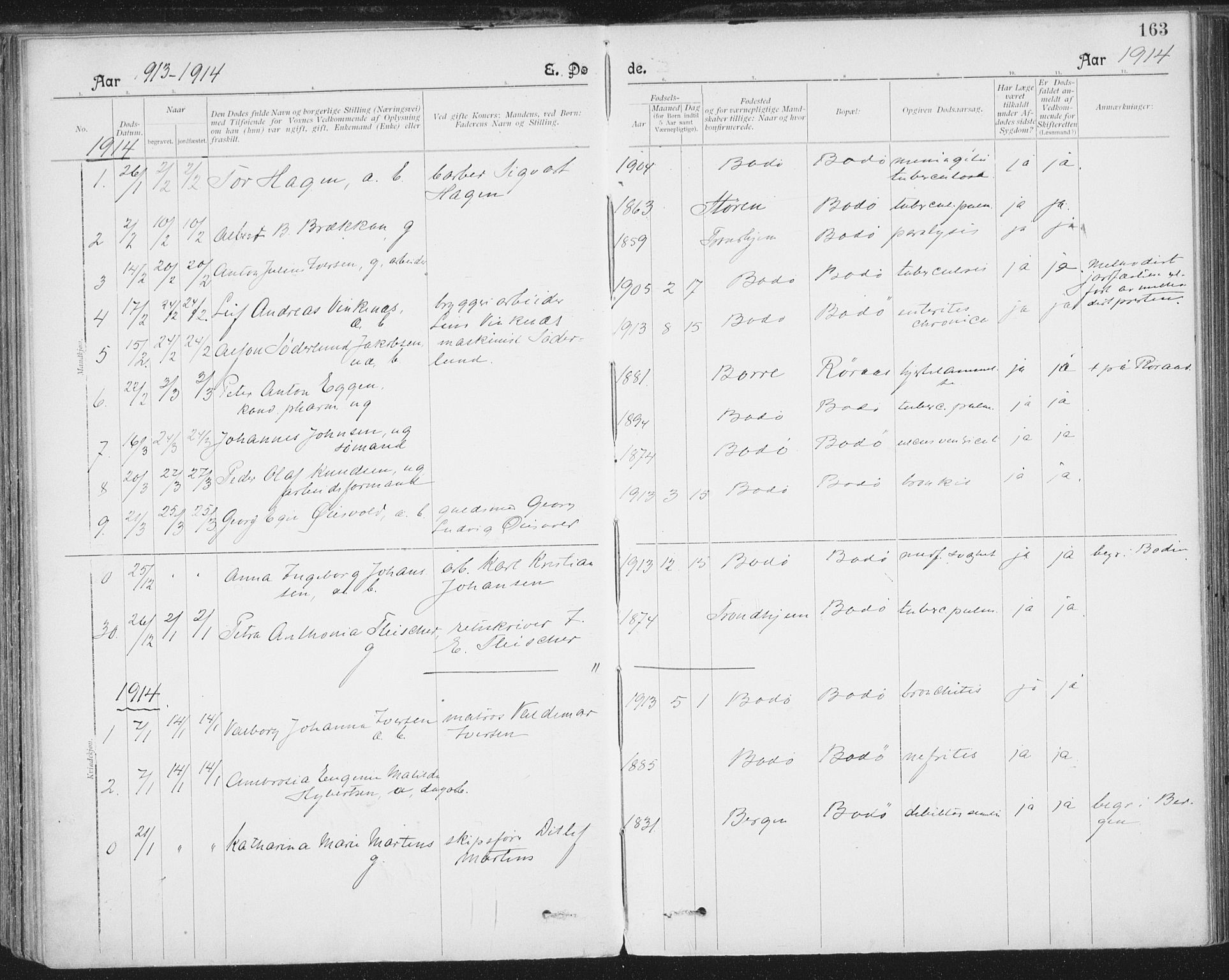 Ministerialprotokoller, klokkerbøker og fødselsregistre - Nordland, SAT/A-1459/801/L0012: Parish register (official) no. 801A12, 1900-1916, p. 163