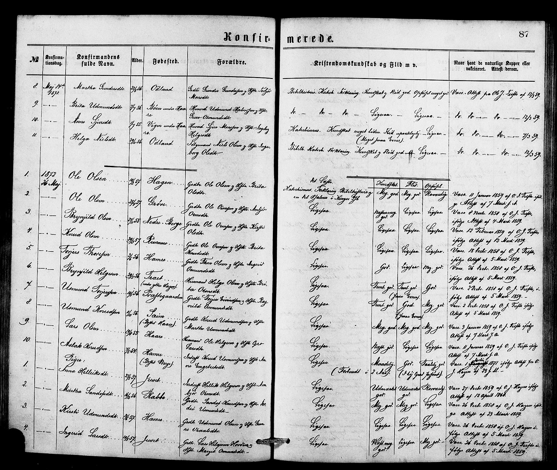 Røldal sokneprestembete, SAB/A-100247: Parish register (official) no. A 4, 1870-1886, p. 87