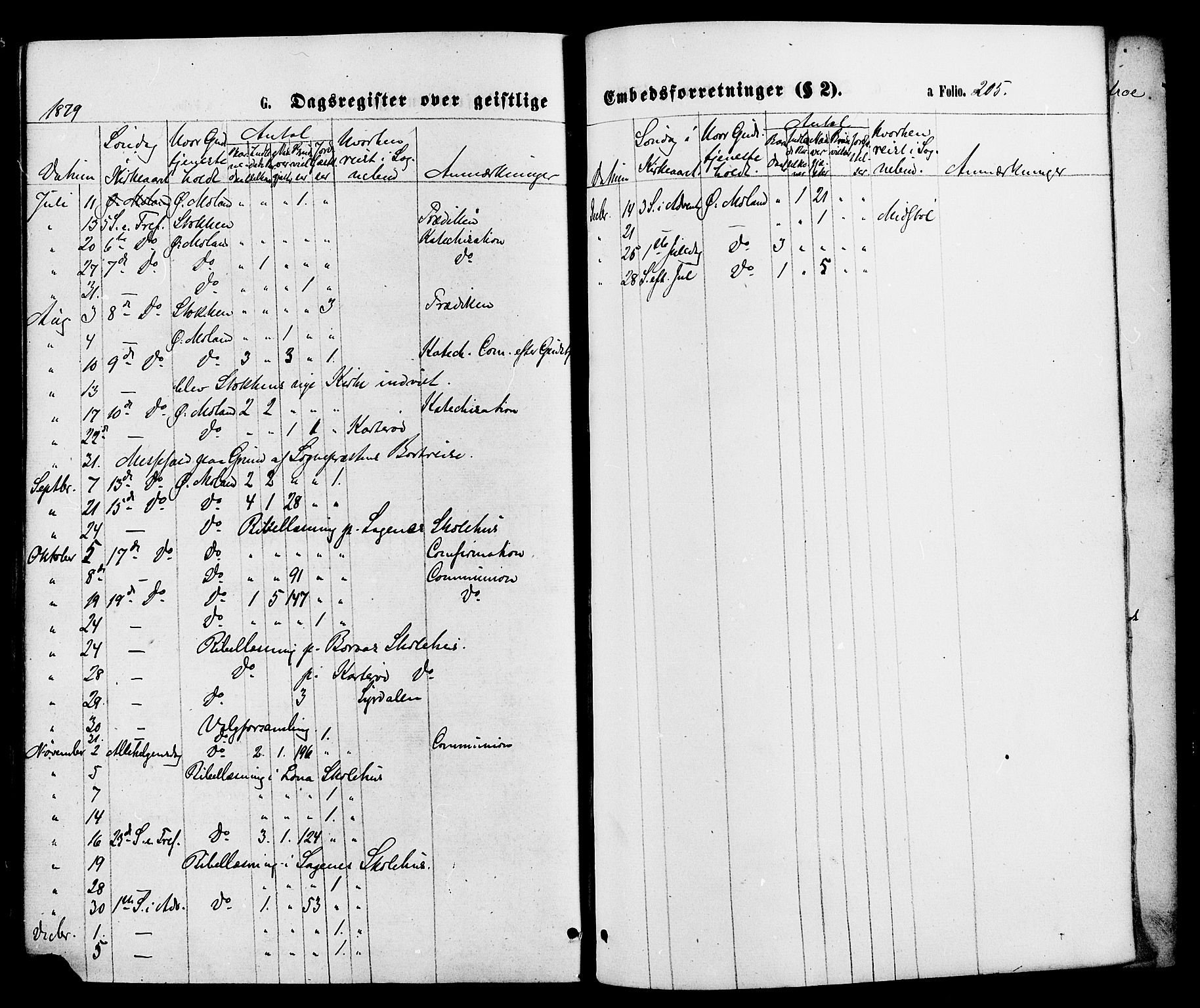 Austre Moland sokneprestkontor, AV/SAK-1111-0001/F/Fa/Faa/L0009: Parish register (official) no. A 9, 1869-1879, p. 205