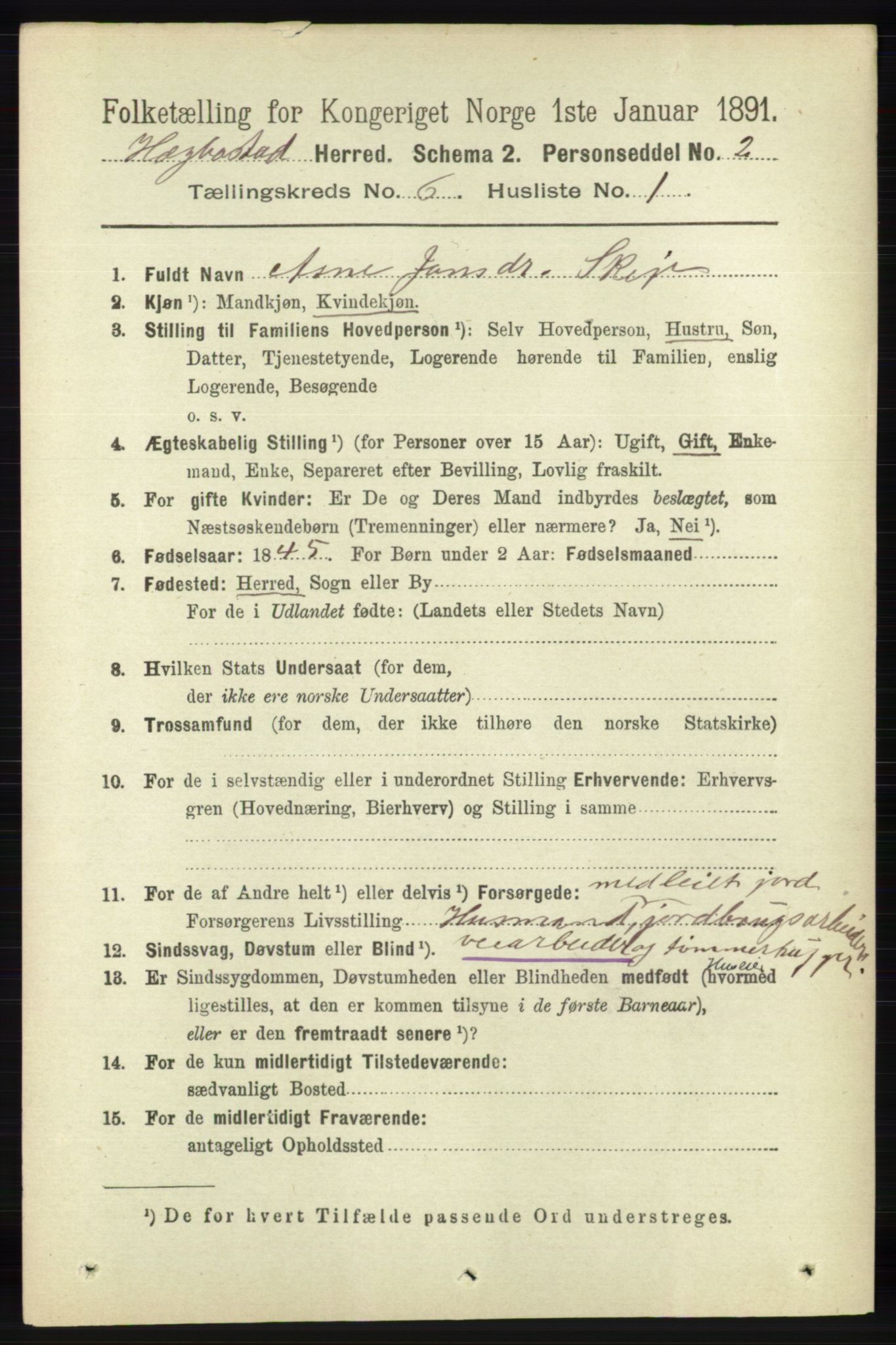 RA, 1891 census for 1034 Hægebostad, 1891, p. 1845