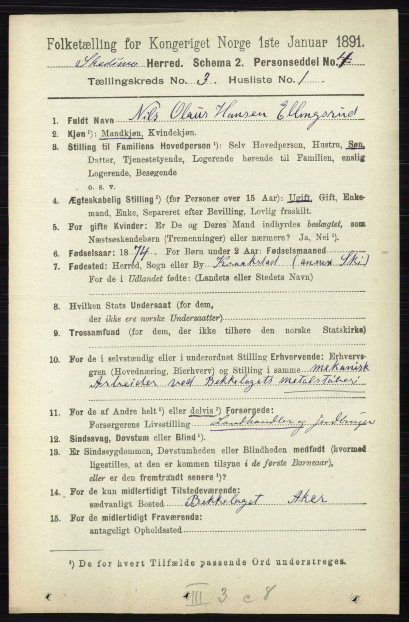 RA, 1891 census for 0231 Skedsmo, 1891, p. 1307