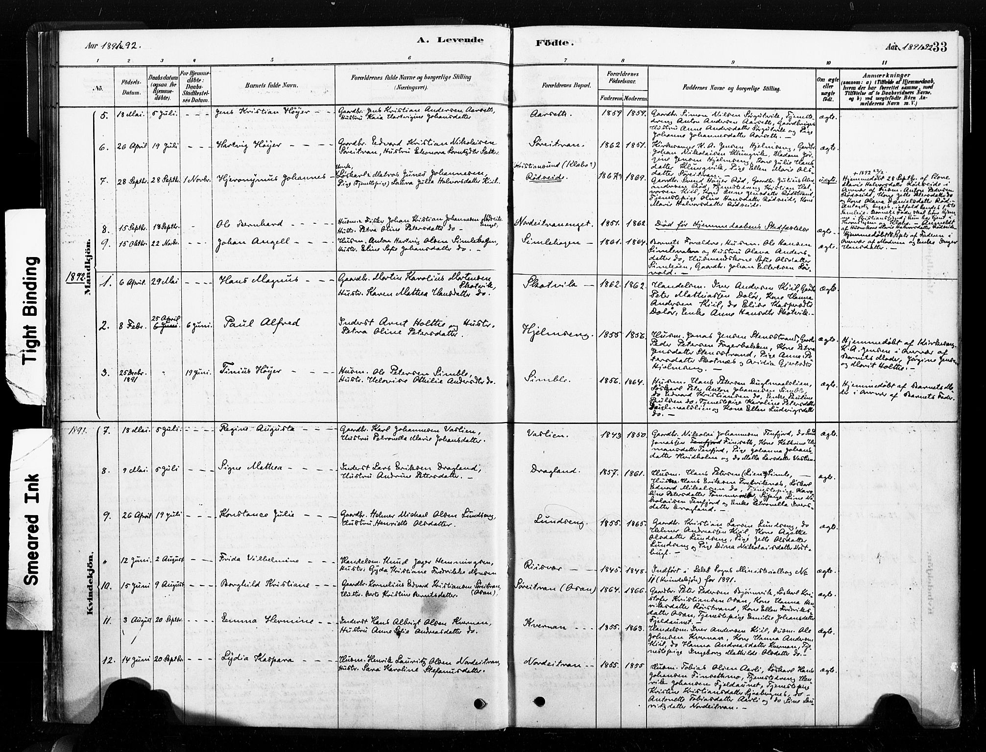 Ministerialprotokoller, klokkerbøker og fødselsregistre - Nord-Trøndelag, AV/SAT-A-1458/789/L0705: Parish register (official) no. 789A01, 1878-1910, p. 33