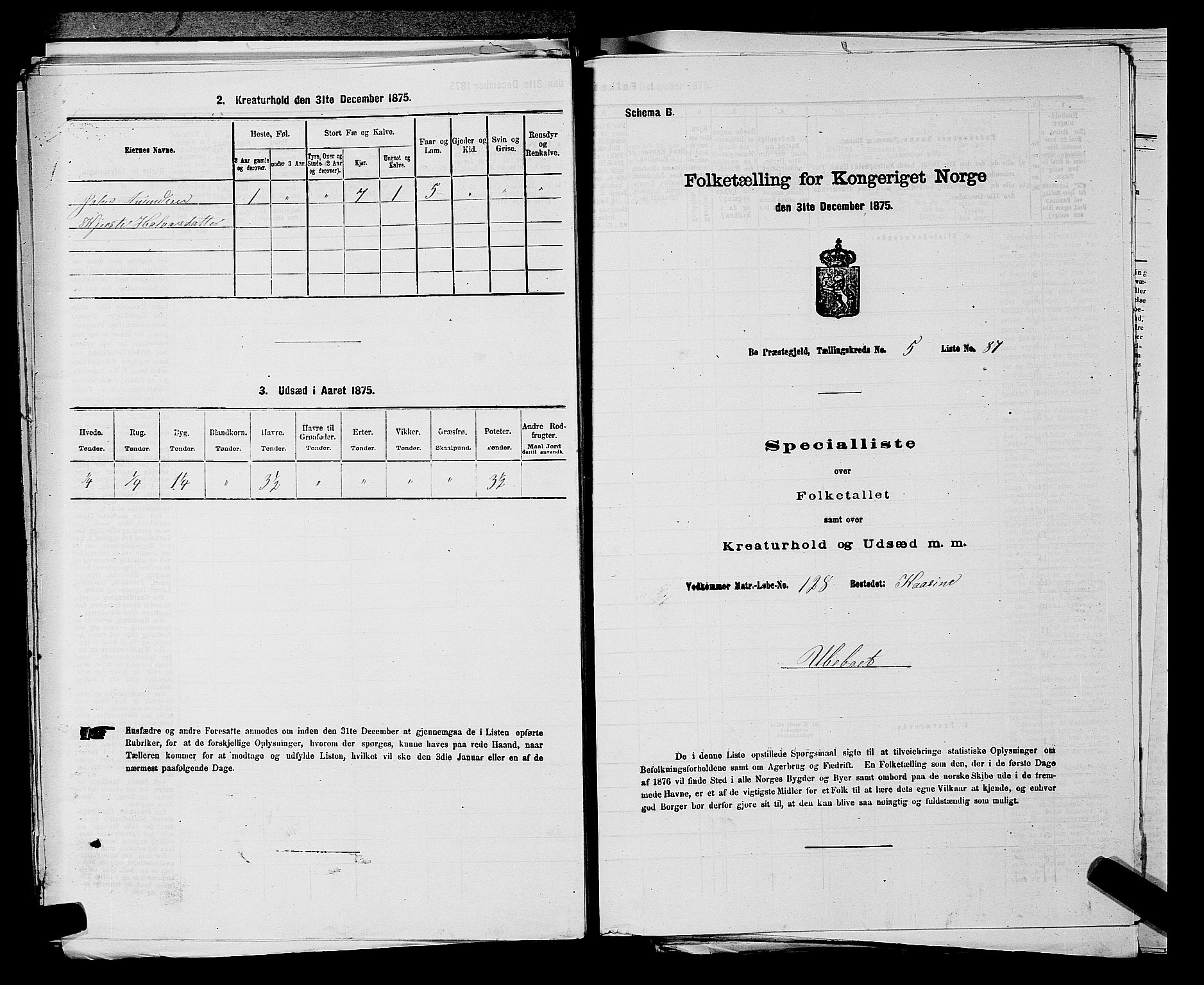 SAKO, 1875 census for 0821P Bø, 1875, p. 774